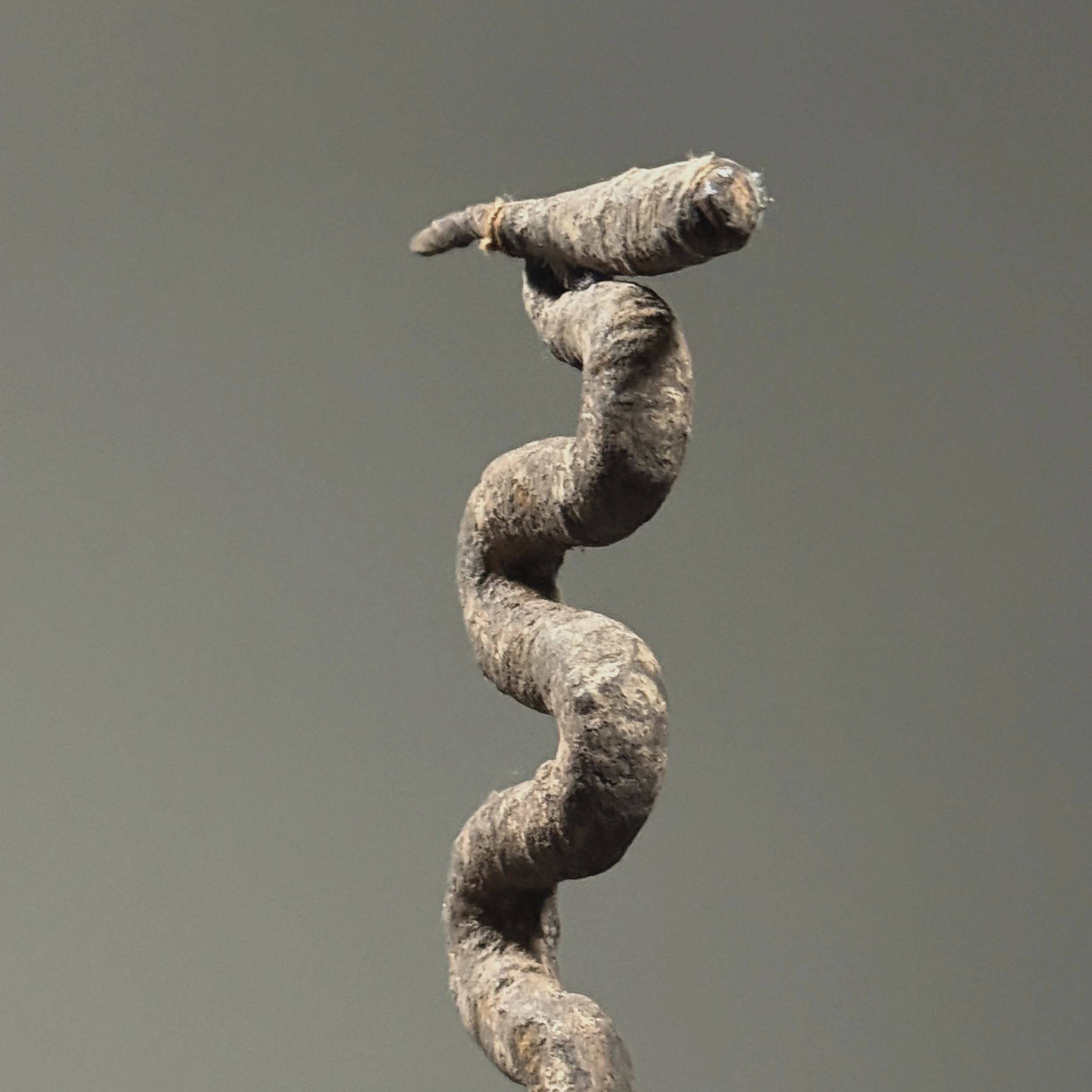 Close-up of antelope head. Wrought iron silhouette rising above snake body.