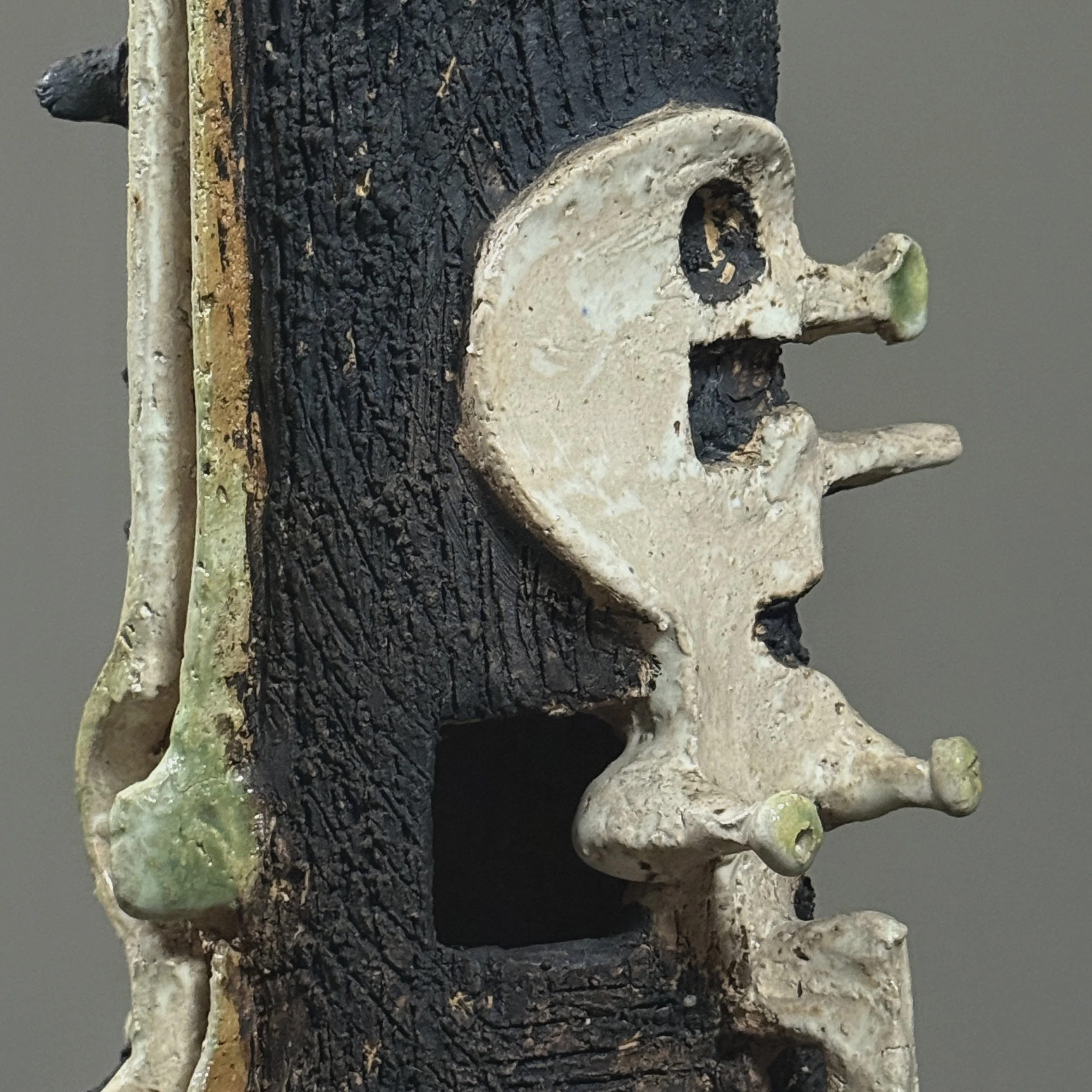Side profile close-up illustrating the arrangement of all skeletal components.