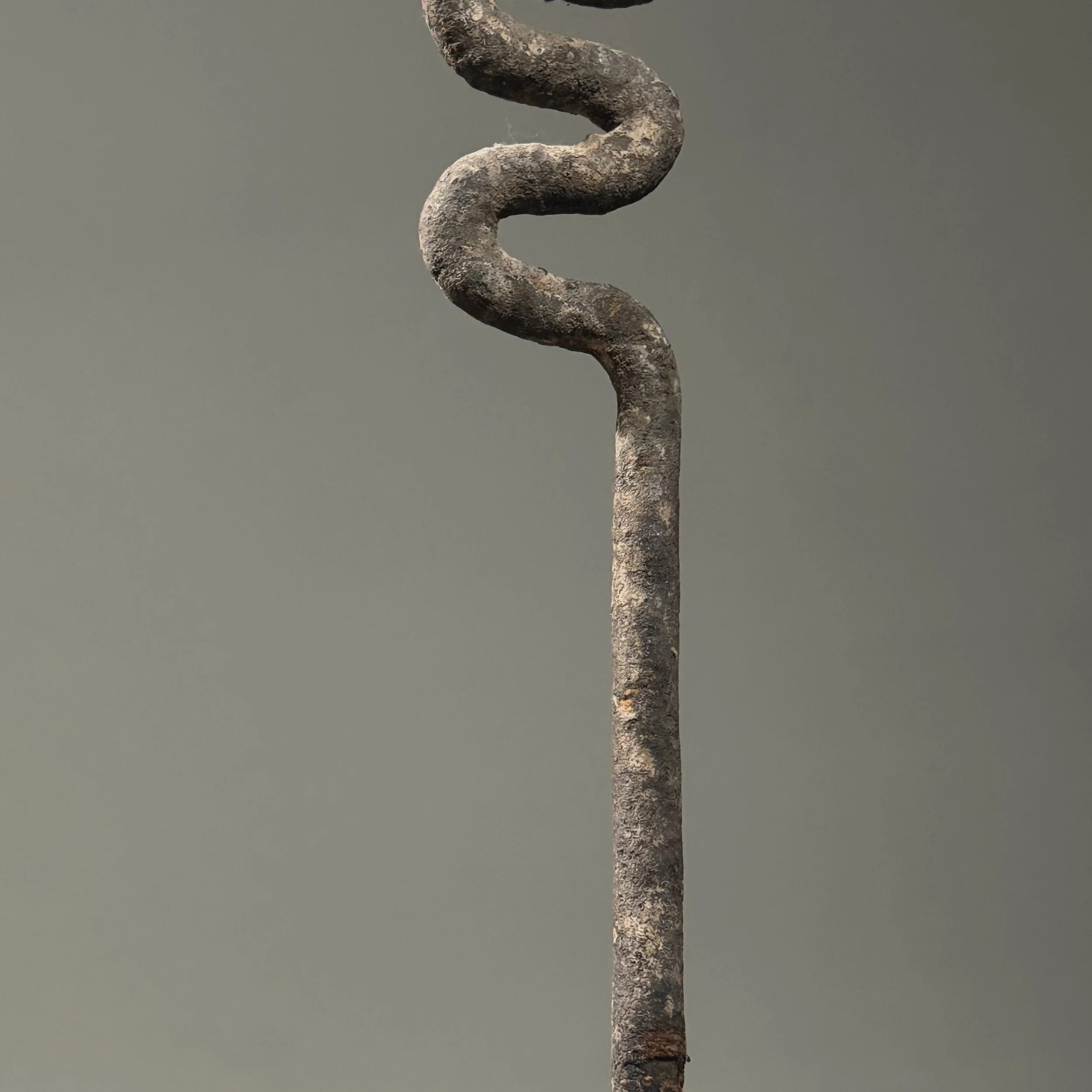 Snake body detail. Undulating iron form. Old ochre-brown patina visible.