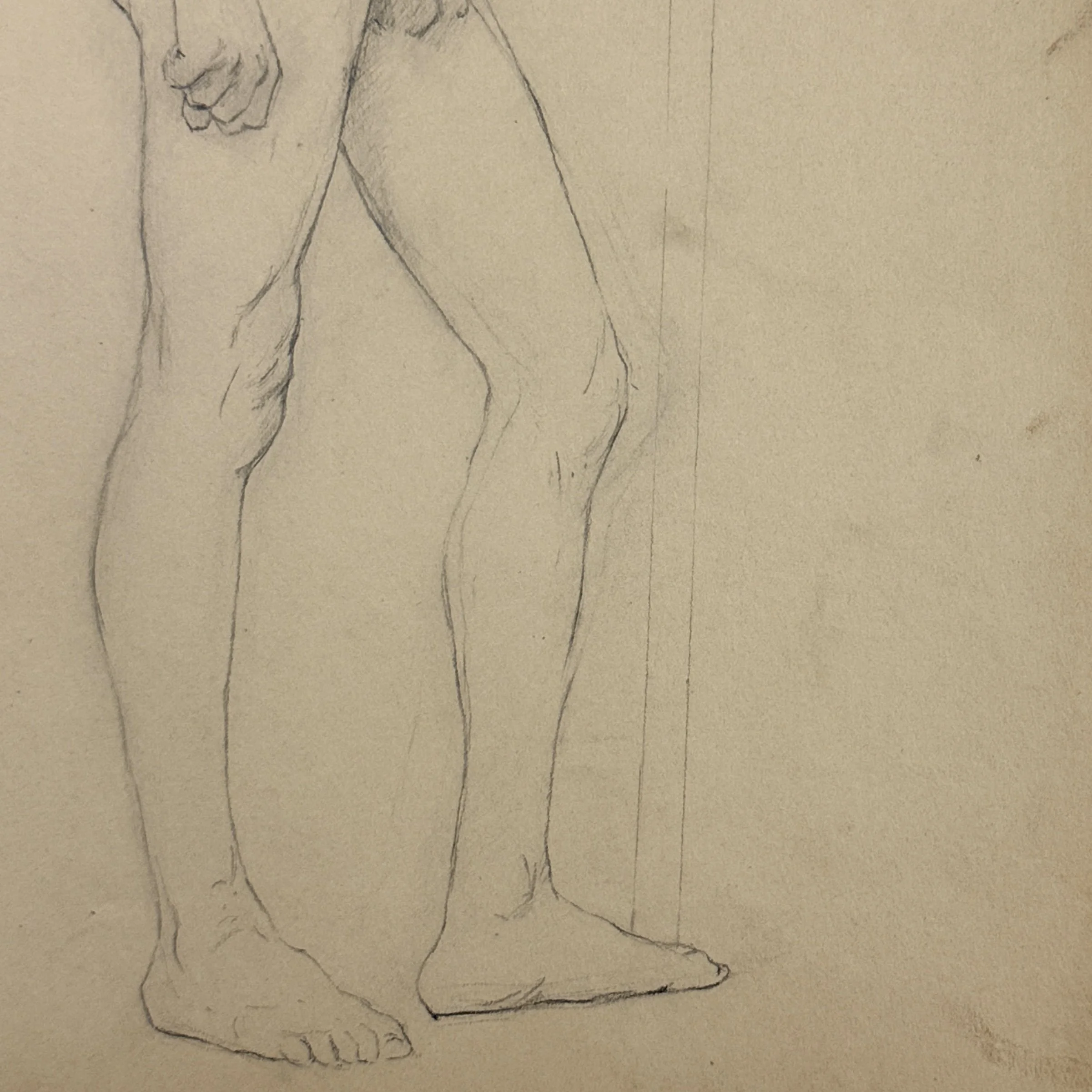 Detailed anatomy study in antique figure sketch