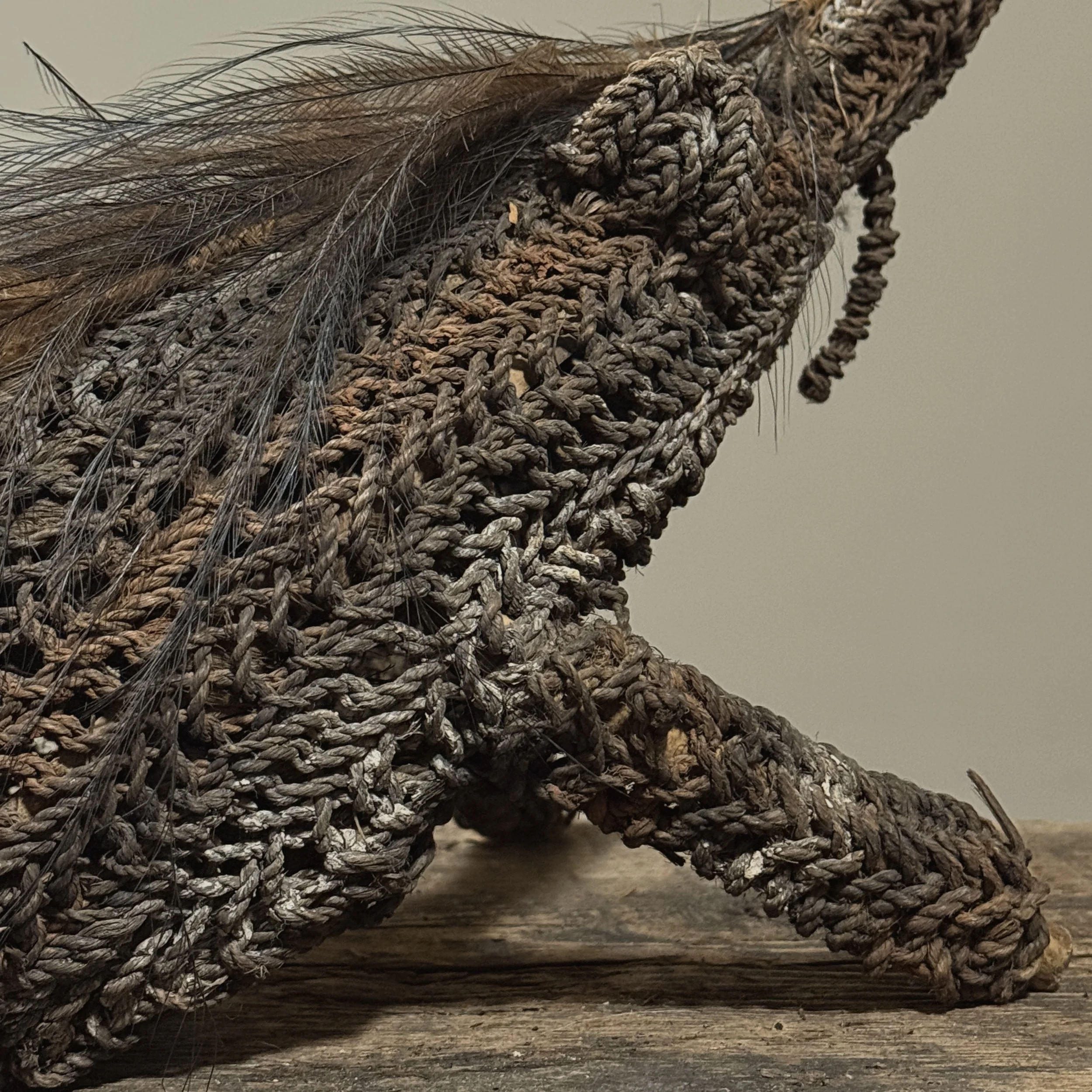 Feather detail. Feathers incorporated into Dream Vehicle design.