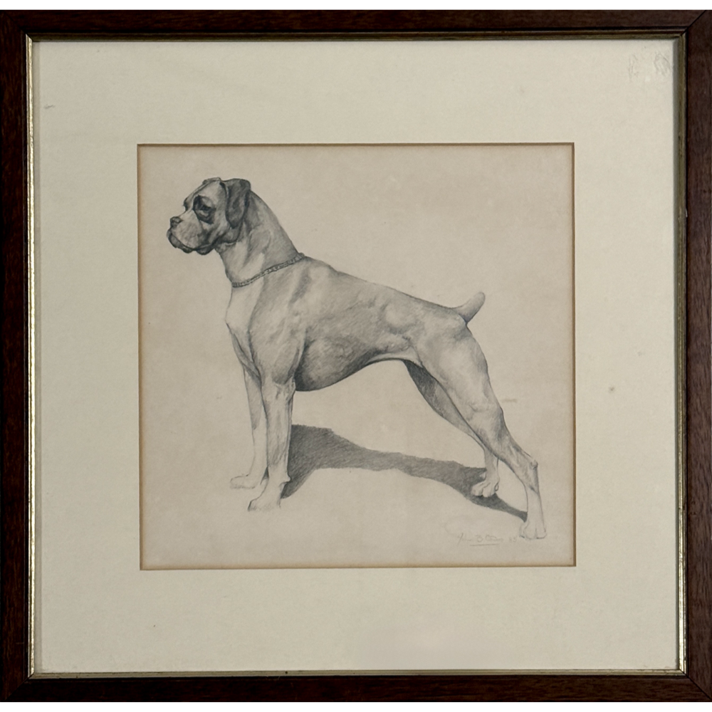 Vintage Realist Boxer Dog Profile Study, Signed (Graphite on Paper, Framed)