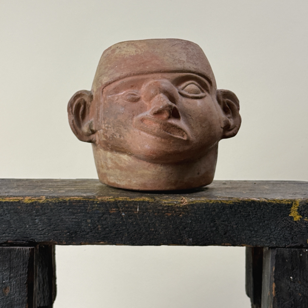 Pre-Colonial Moche Portrait Head Vessel with Tumor and Facial Paralysis