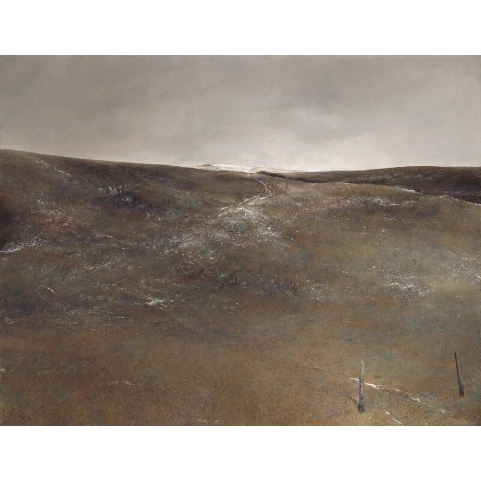 Andrew Wyeth Snow Flurries