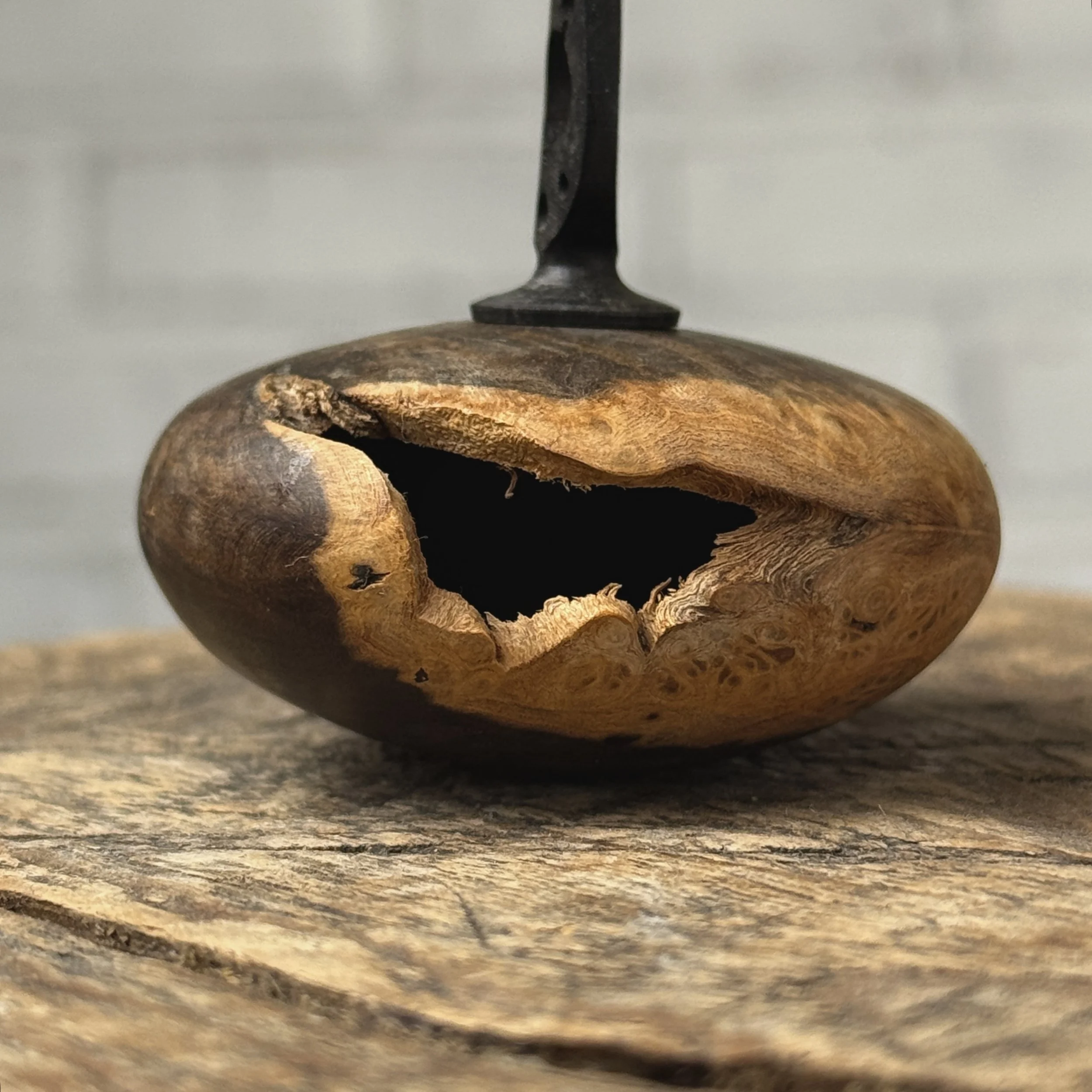 Side view of miniature burl wood seed pot showing live edge detailing