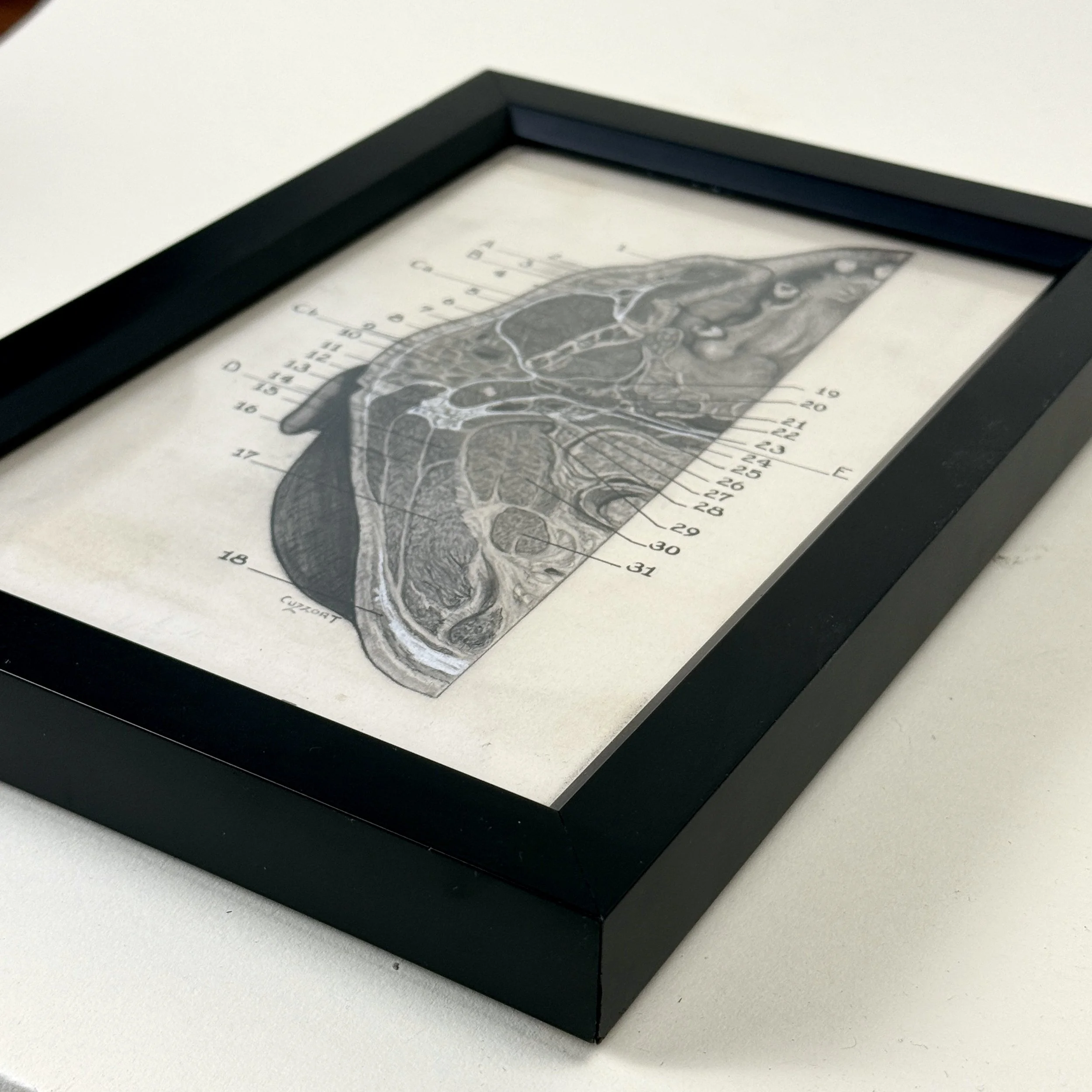 Full framed work on neutral background.