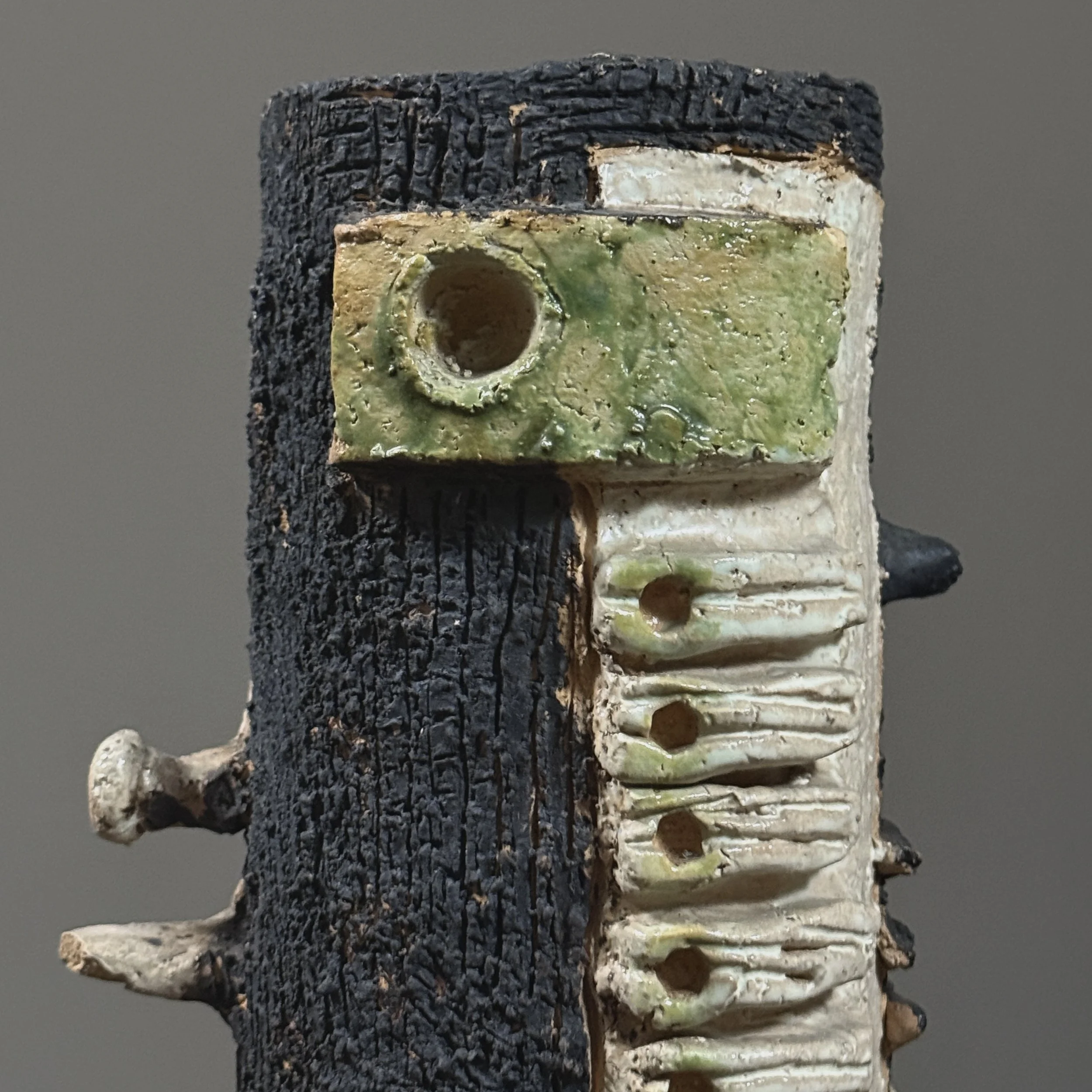 View highlighting the juxtaposition of the smooth skull form and grooved body.