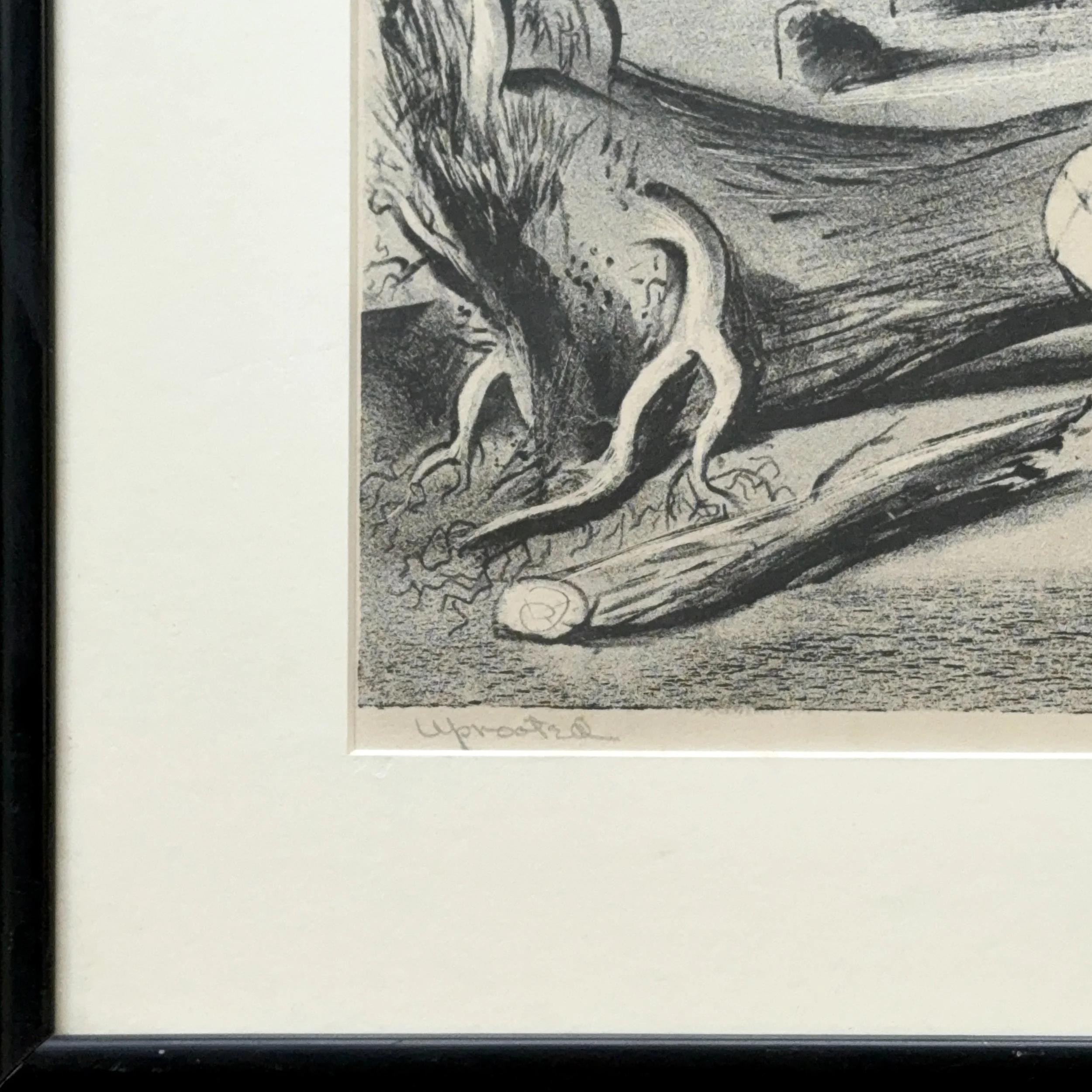 Close-up of lower margin. Pencil signature and title "Uprooted" visible.