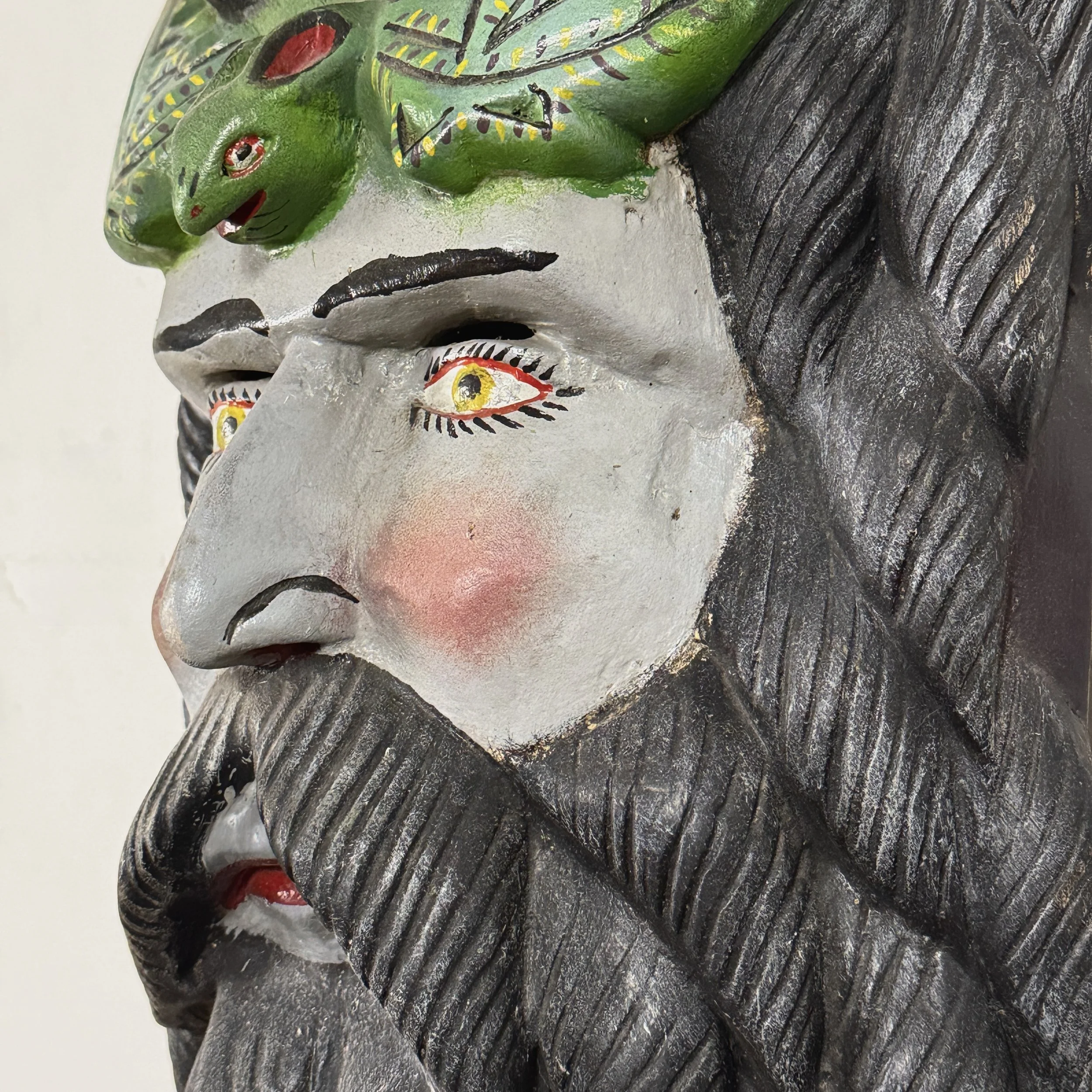 Close up profile view of the bearded man.