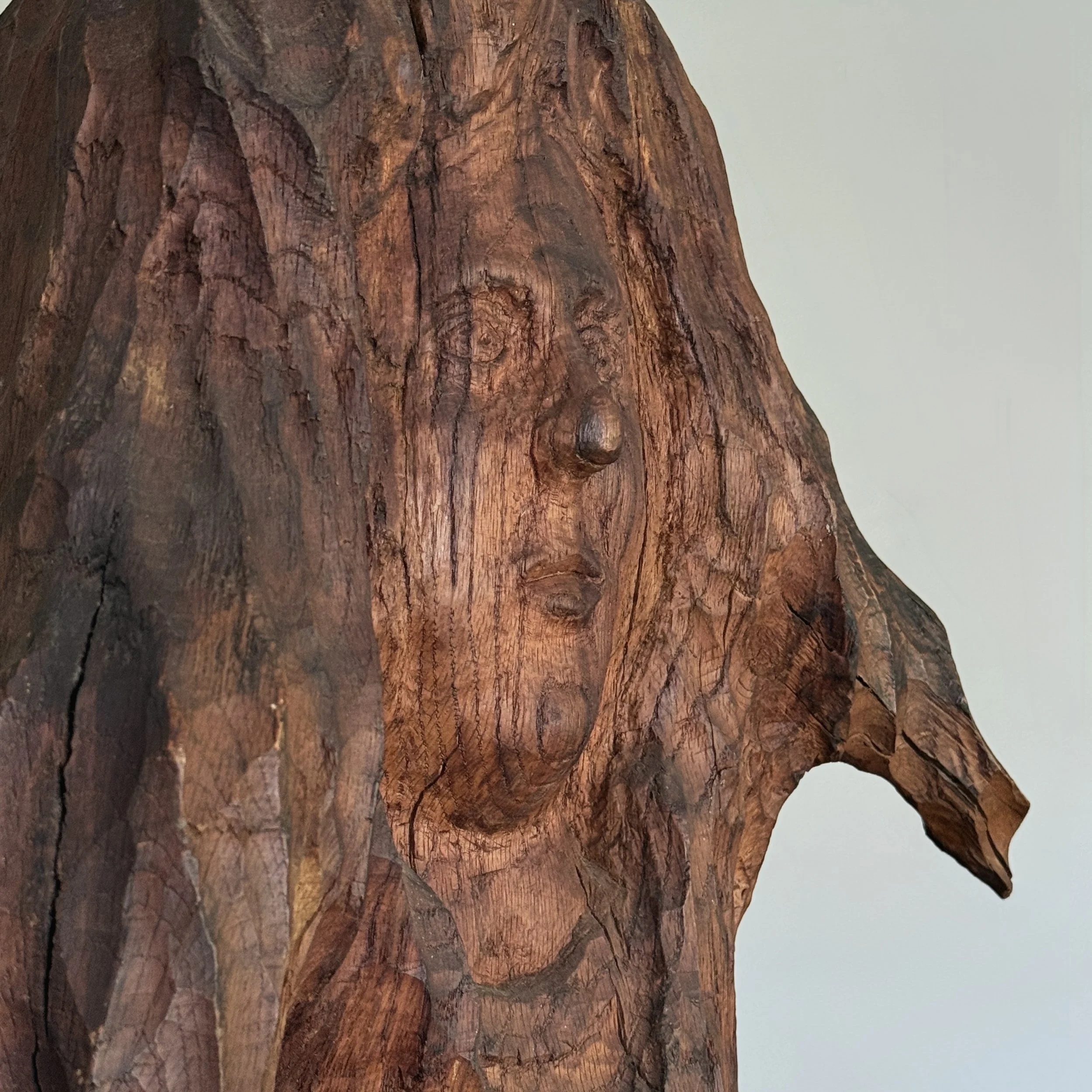 Portrait detail, hand carved wood stump, facial features