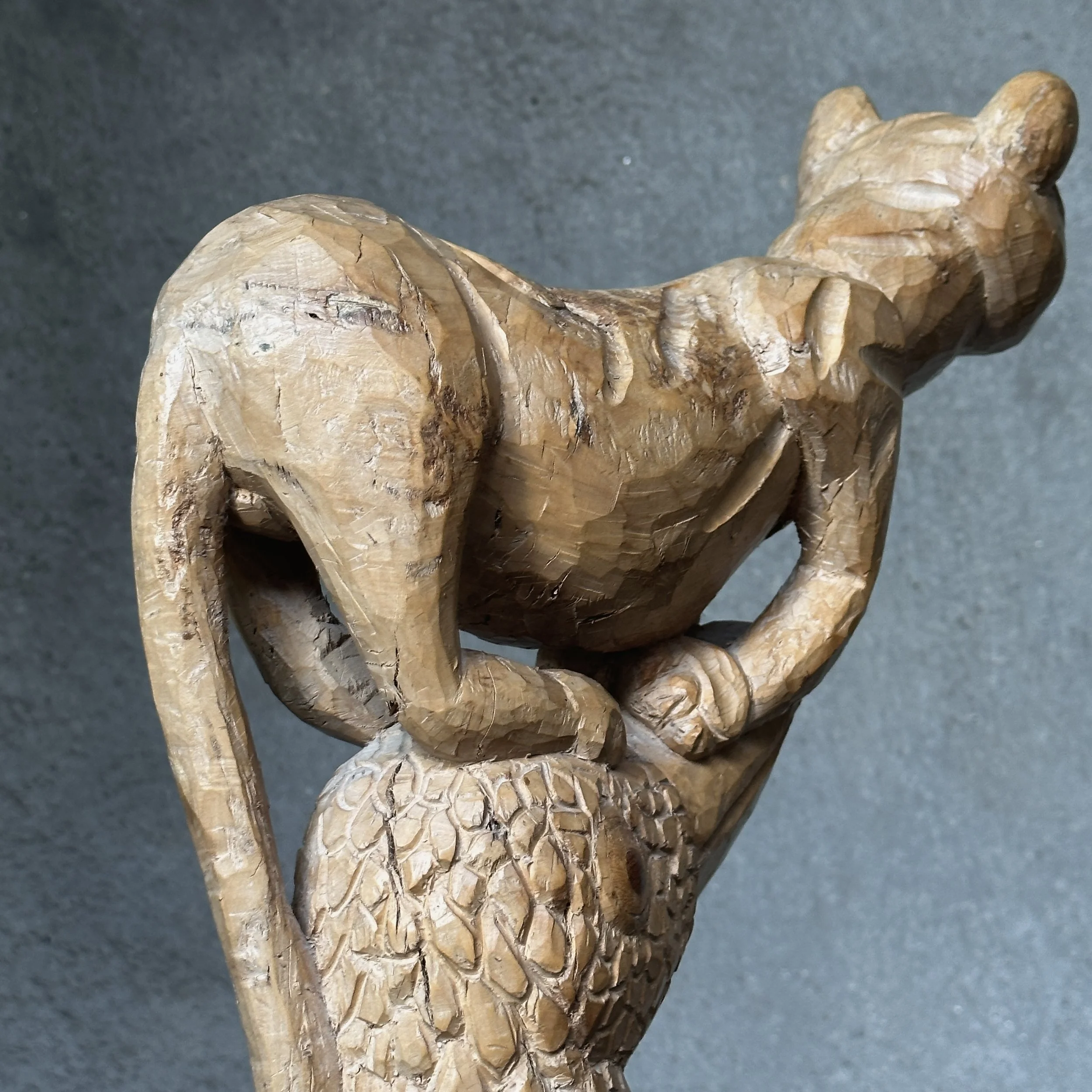 Close-up of the cat being chased upward along the toucan's form.