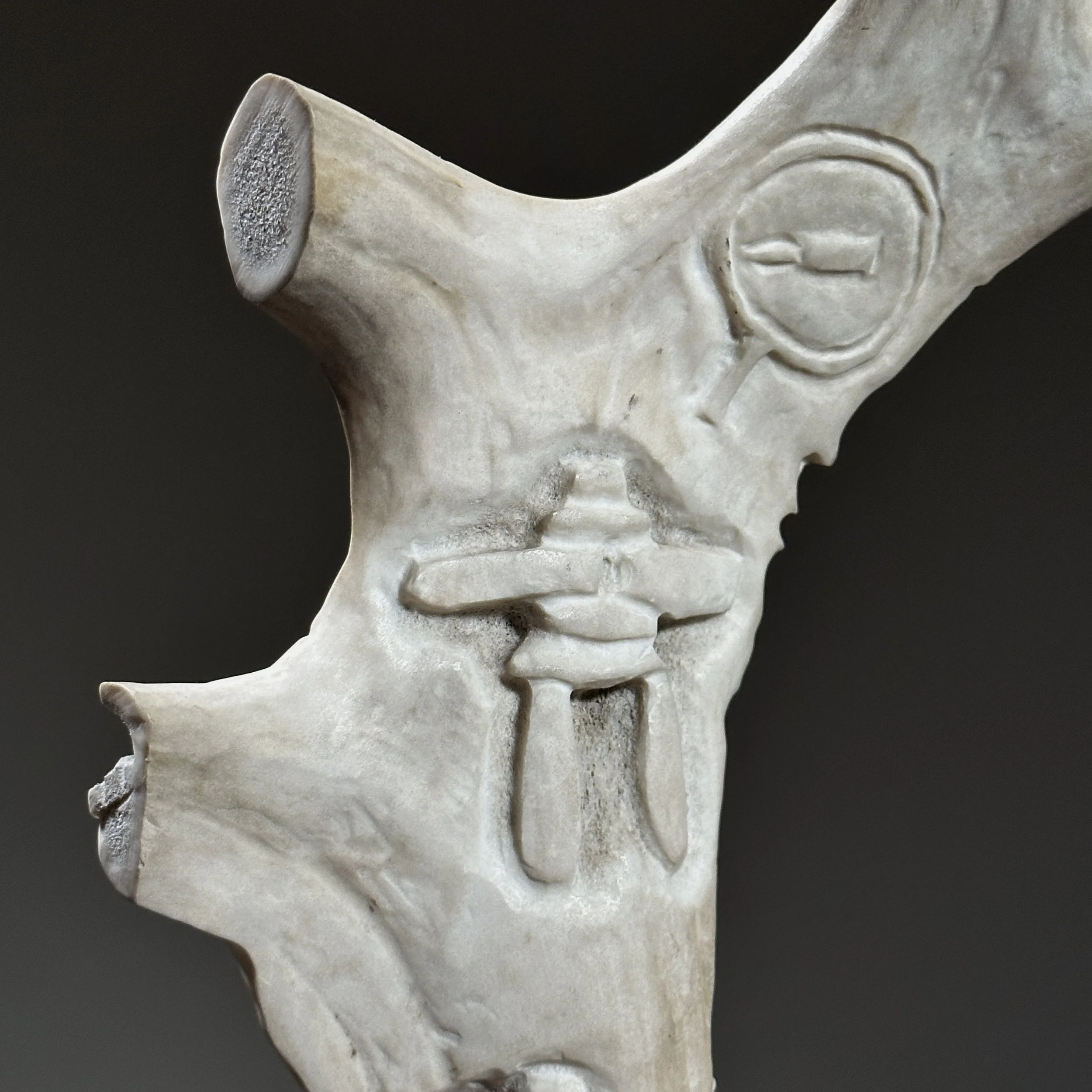 Close-up of antler texture and carving marks.