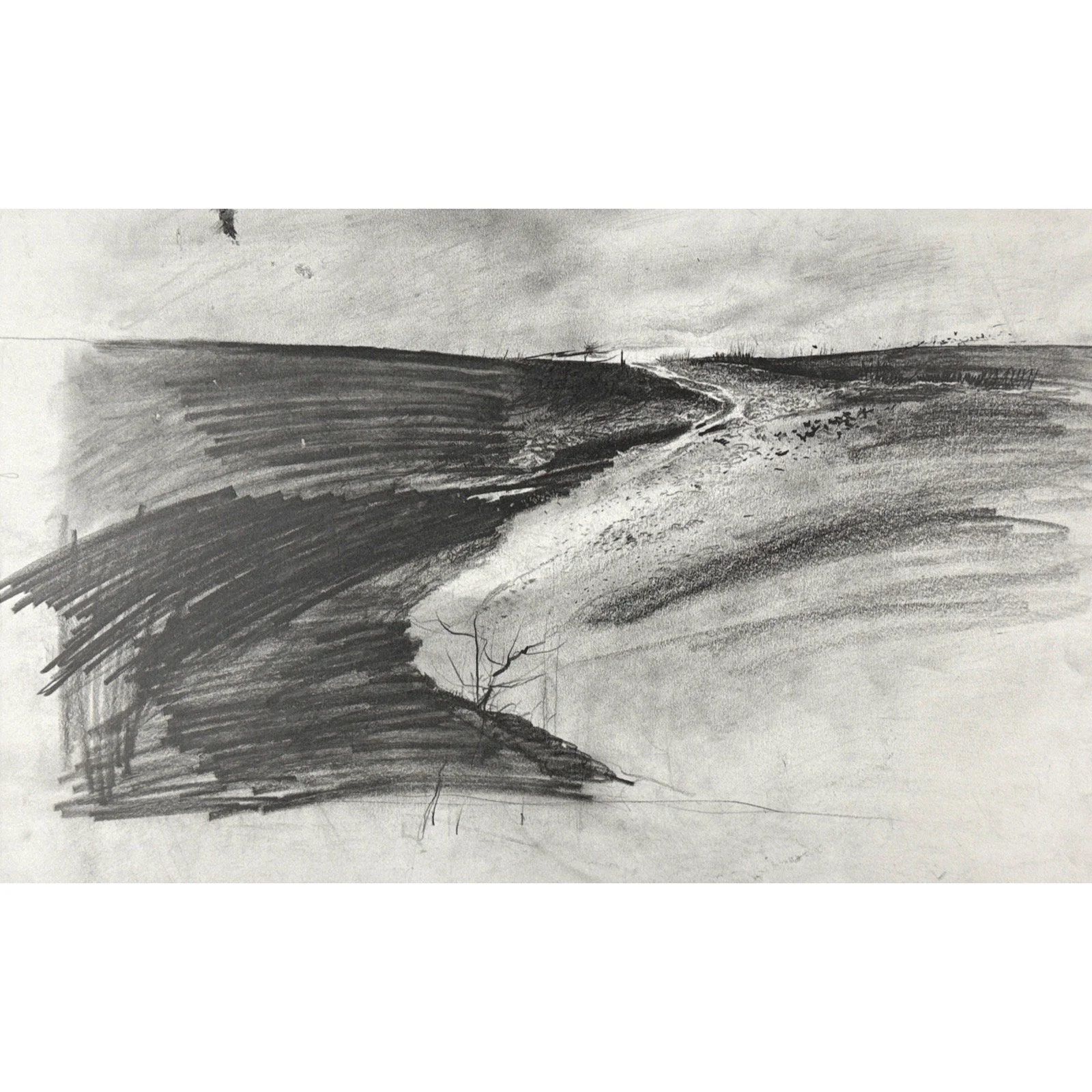 Full view of Andrew Wyeth Snow Flurries drawing reproduction