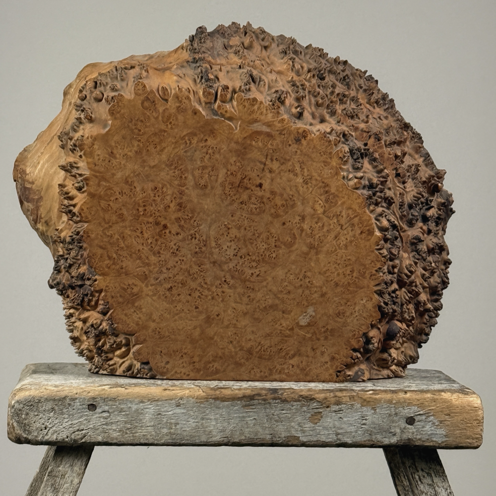 Michael Elkan live edge burl wood box, hand-carved studio art, signed