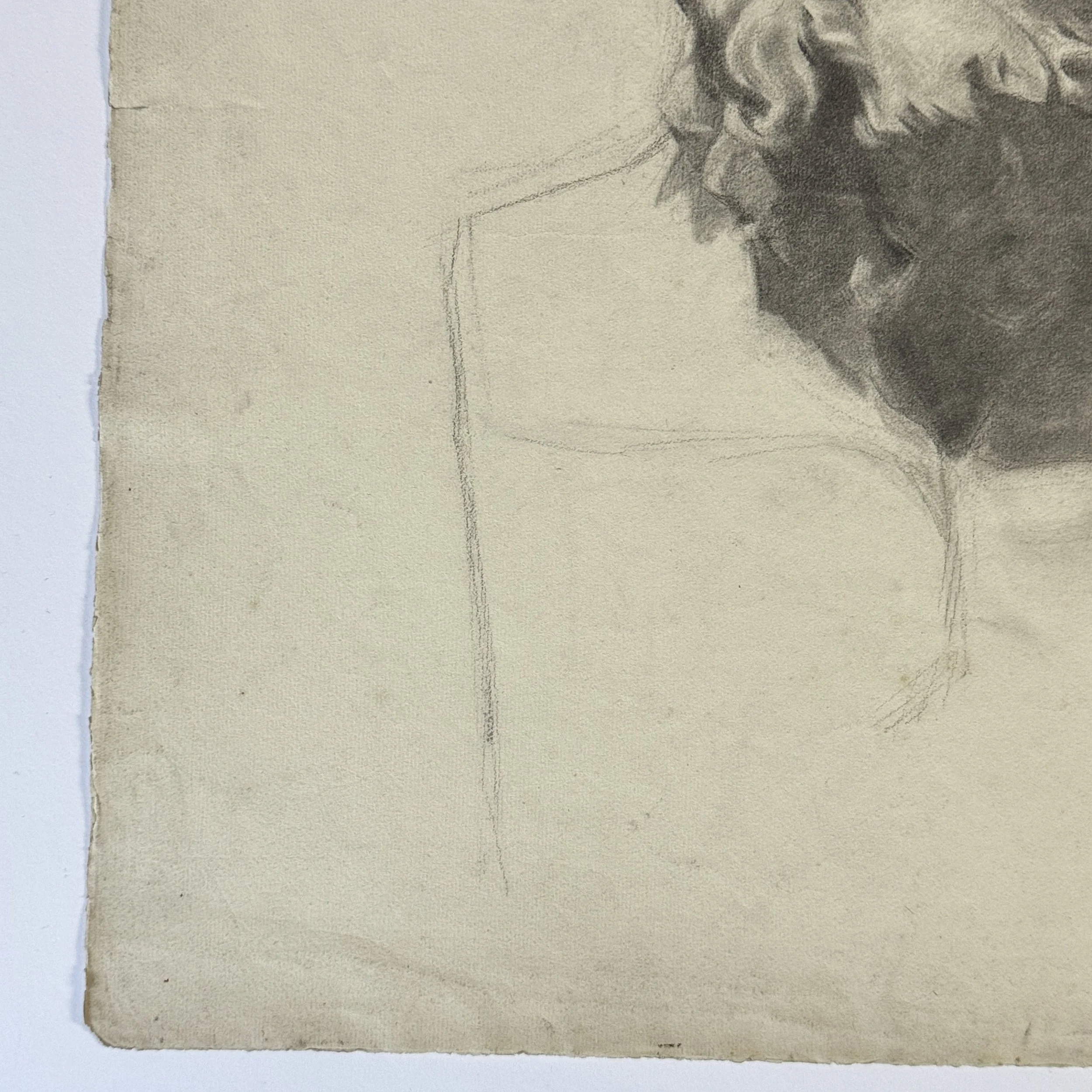 Homer bust study in charcoal, unfinished work