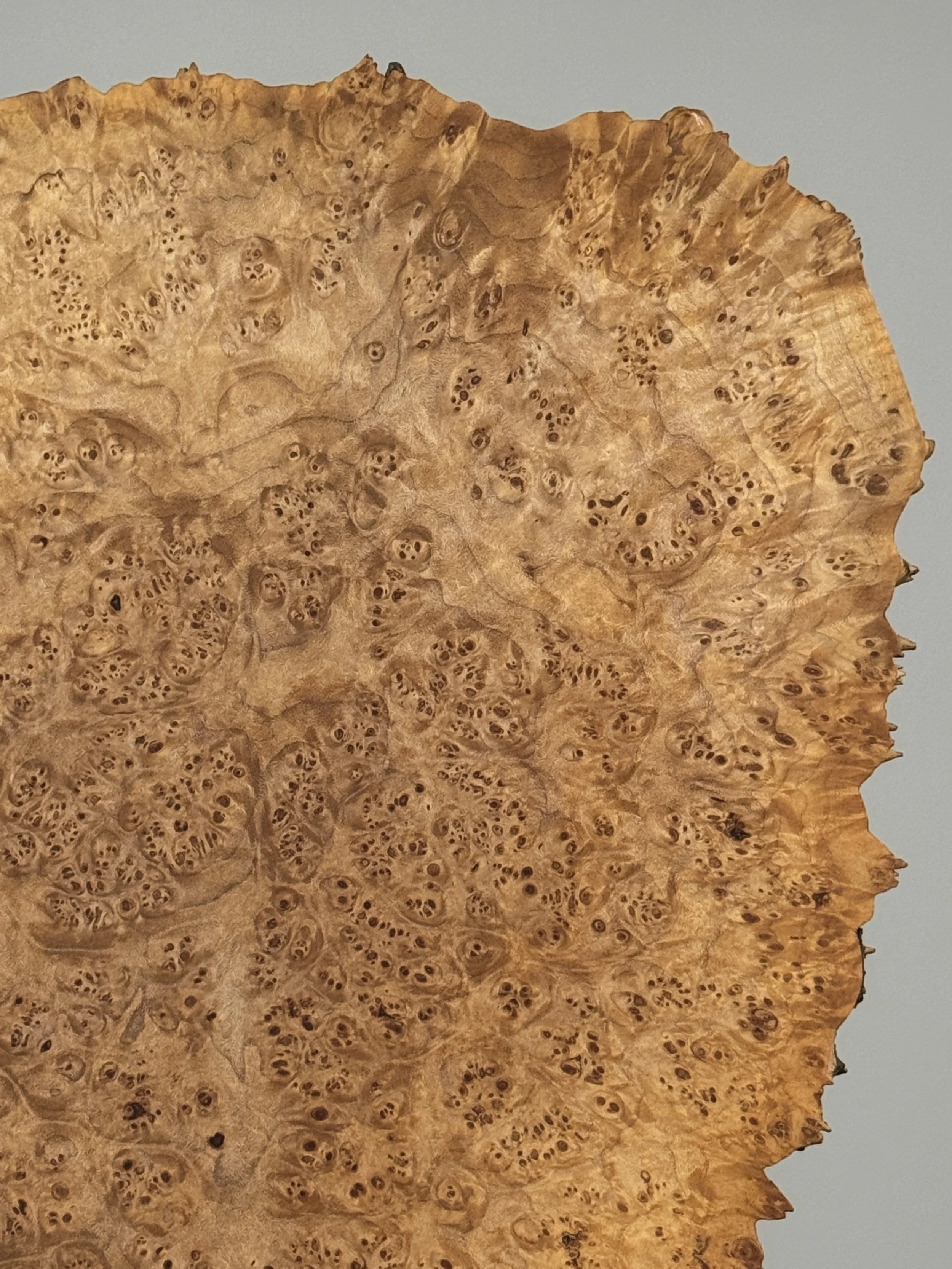 Burl pin detail, live edge side of Michael Elkan box