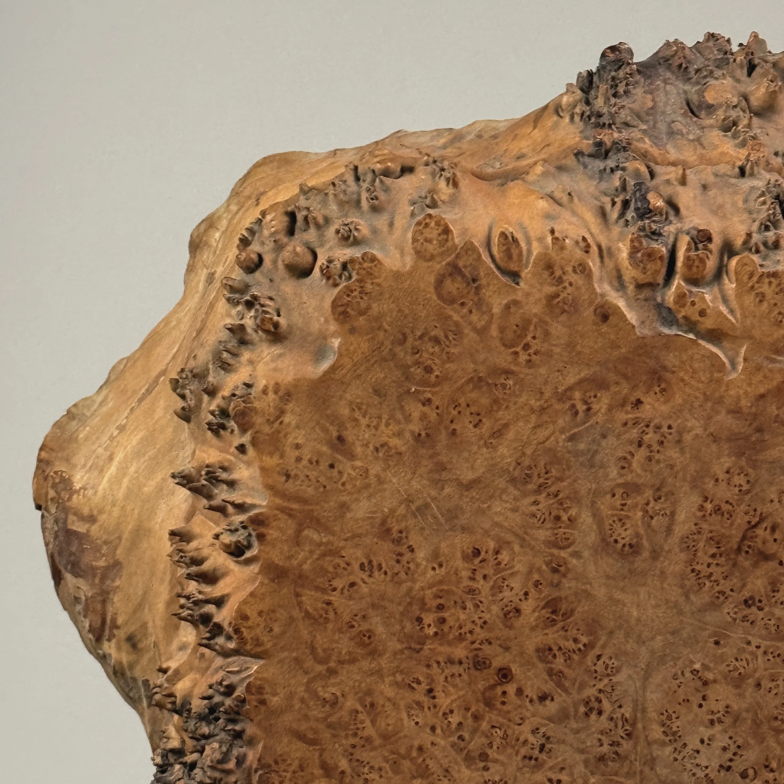 Burl pin detail, live edge side of Michael Elkan box