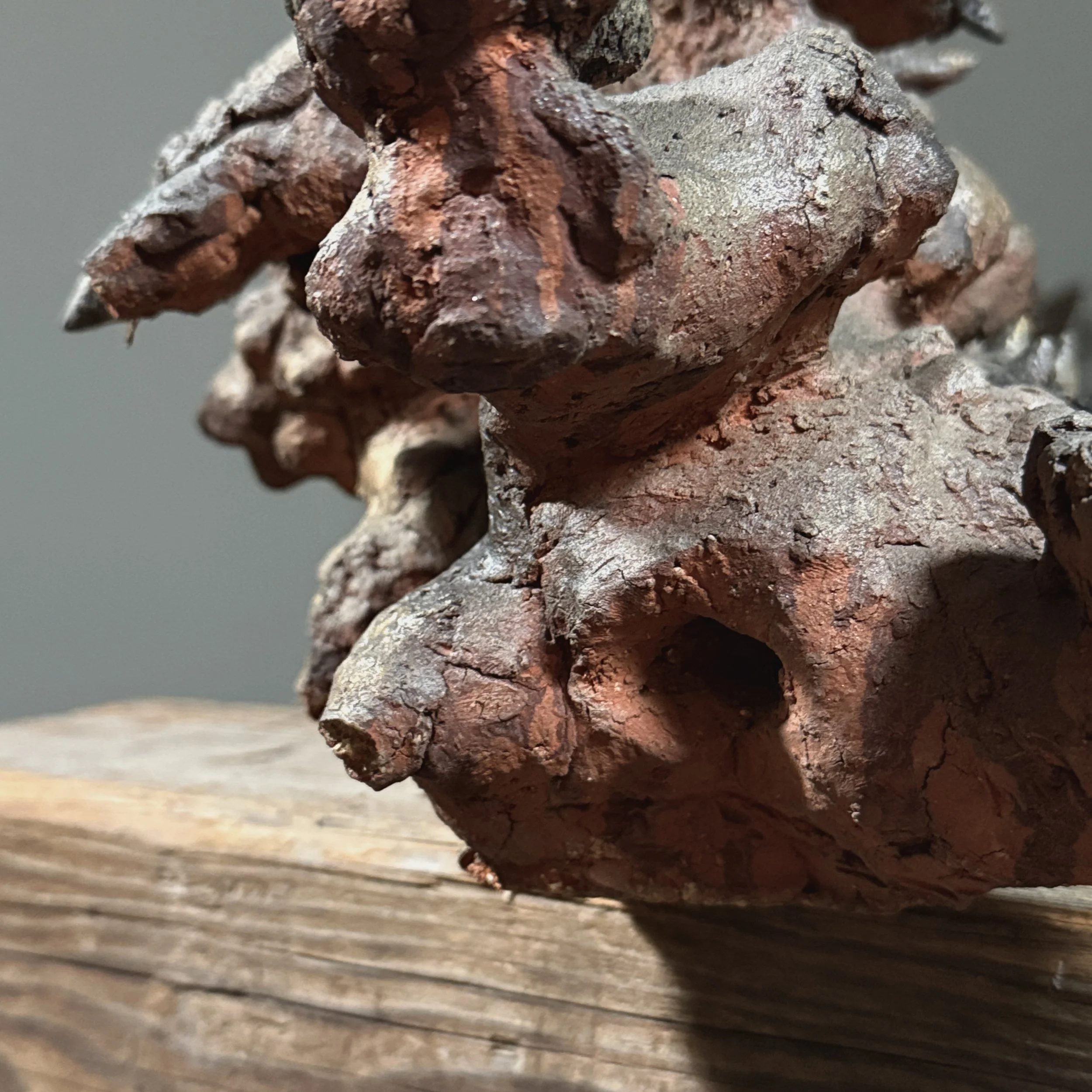Surface detail. Stoneware texture. Painted finish.