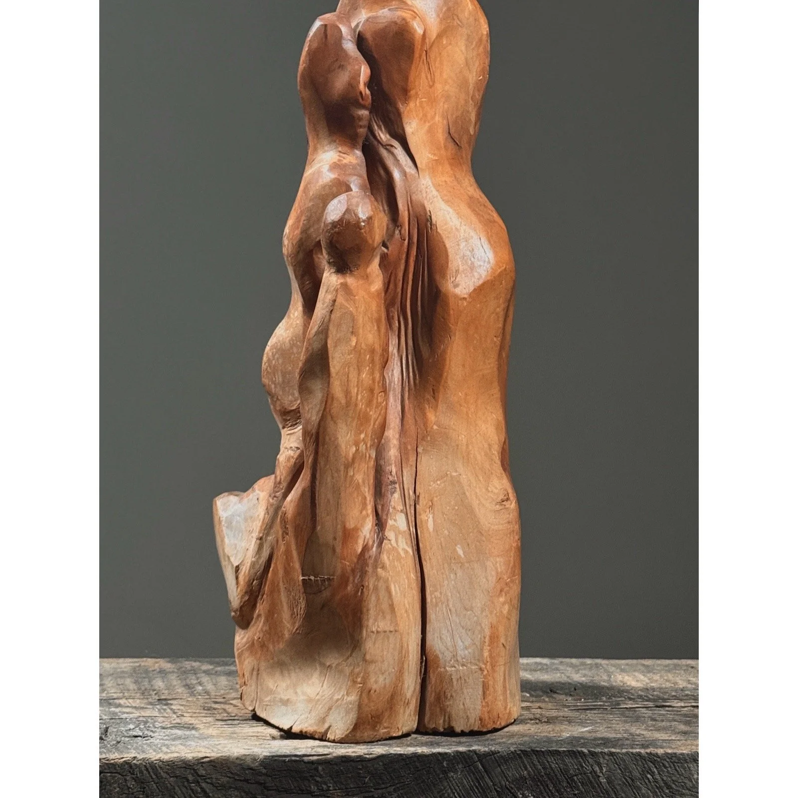 Close-up detail of abstract figurative forms emerging from the natural contours of the root