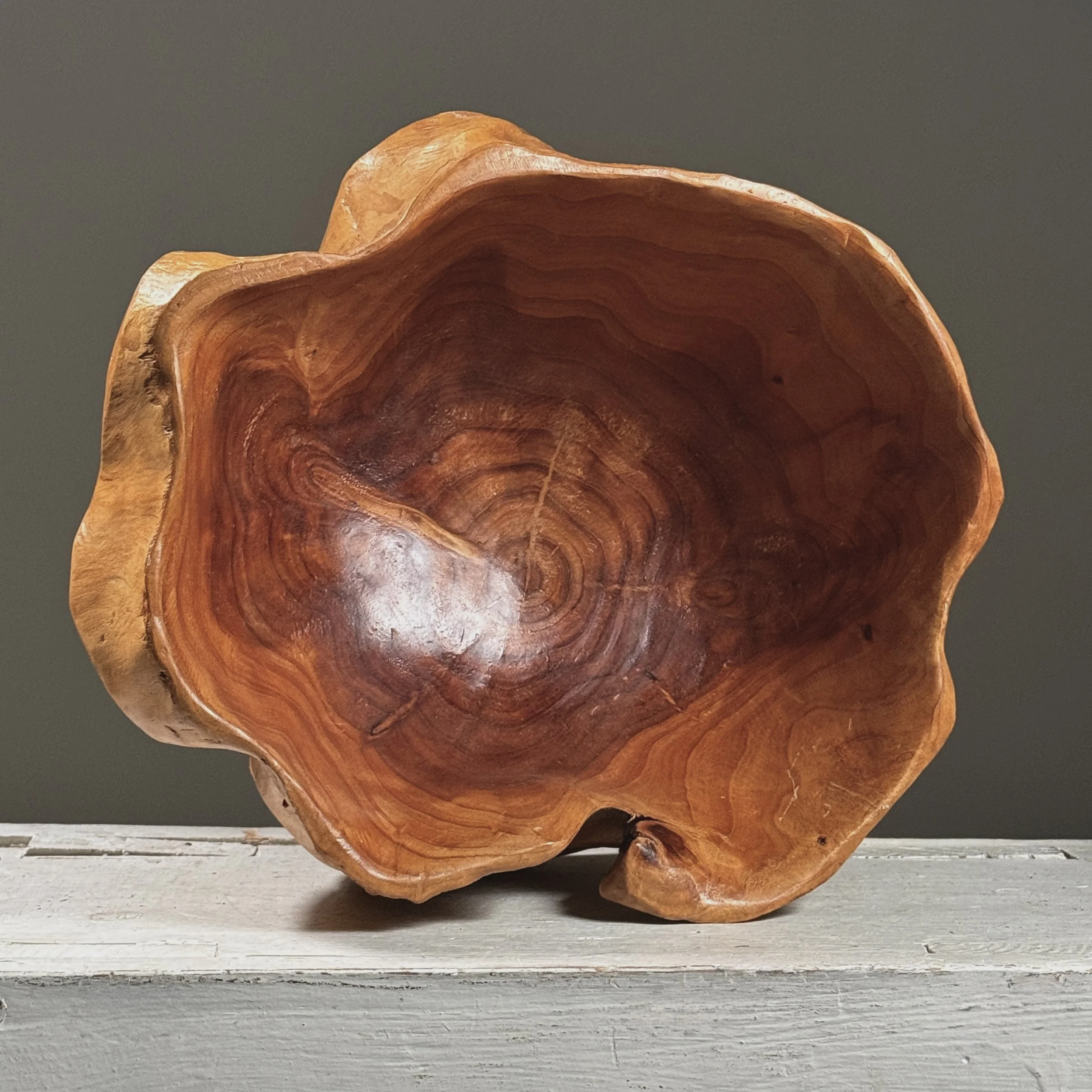 Elevated view looking down into a concave root bowl interior with visible grain patterns