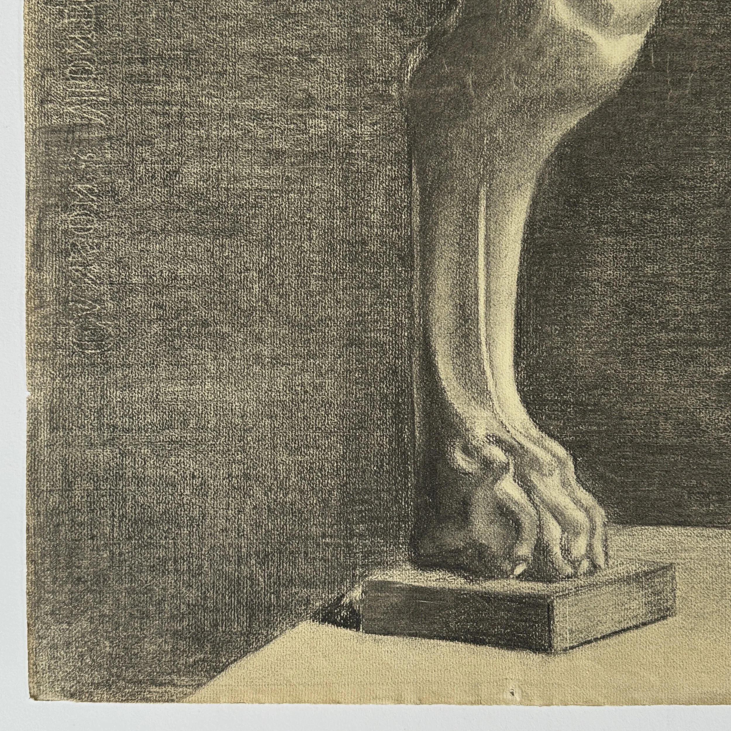 Antique-style lion head rendering with classical detailing