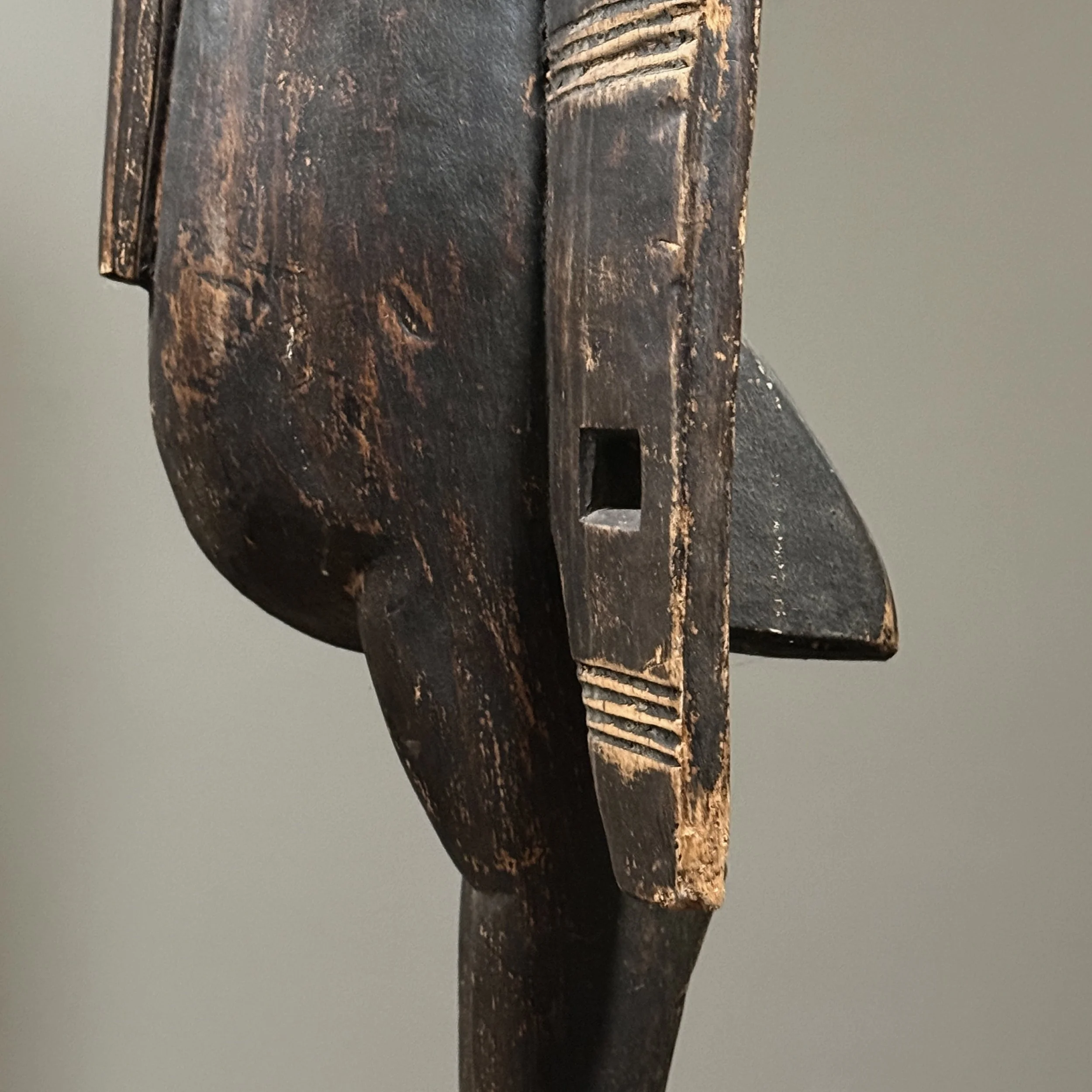 Dark wood Calao bird sculpture with outstretched wings