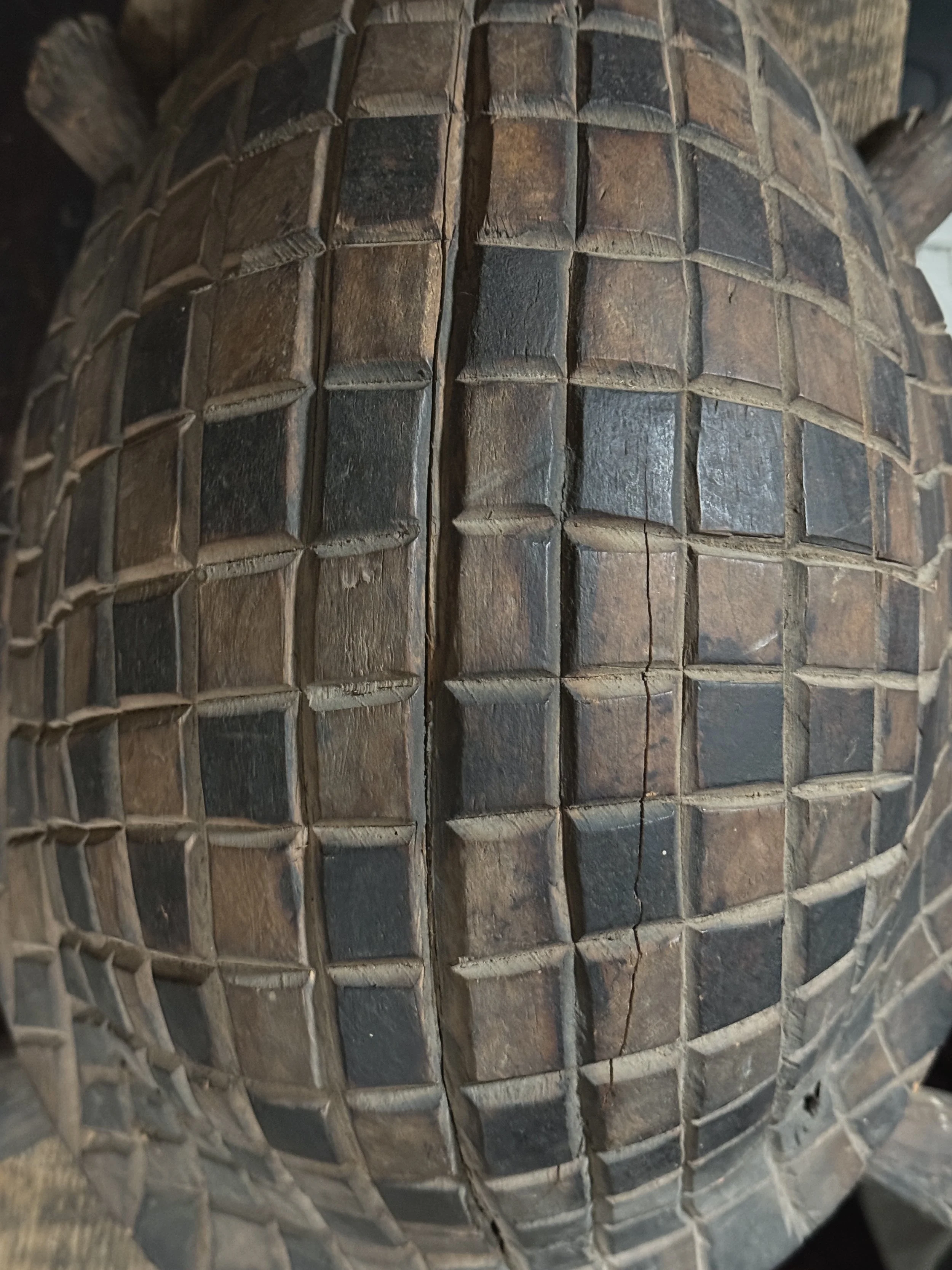 Top view of carved turtle with geometric shell pattern