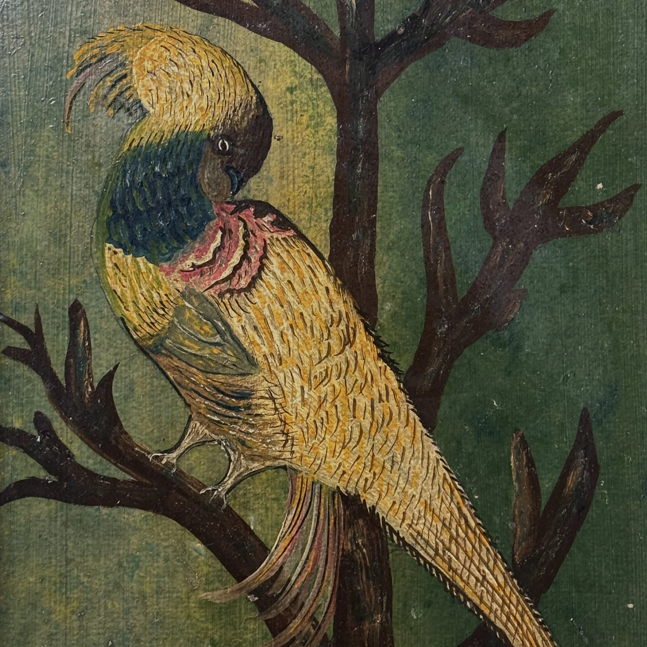 Close-up of multicolored bird with yellow, blue, and red feathers in tree