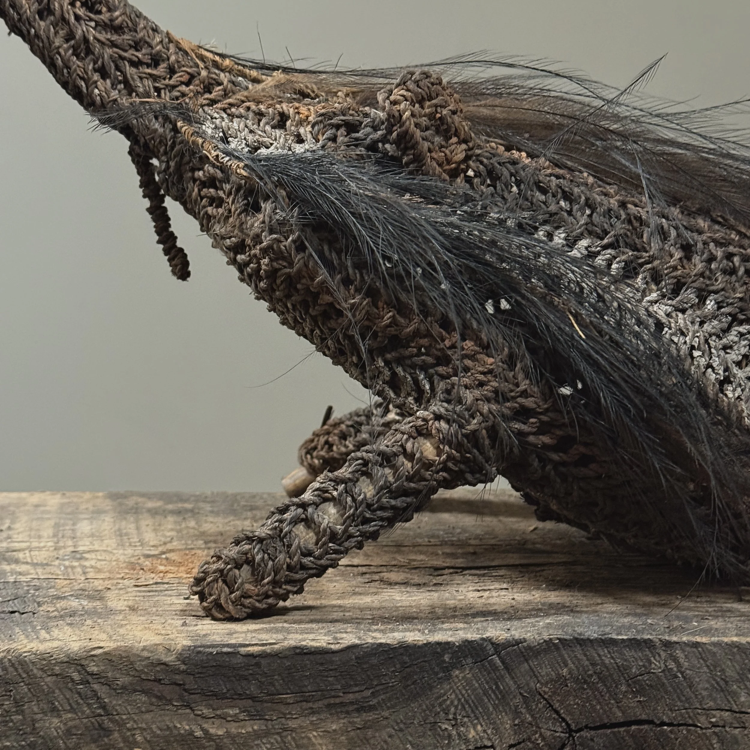 Feather detail. Feathers incorporated into Dream Vehicle design.