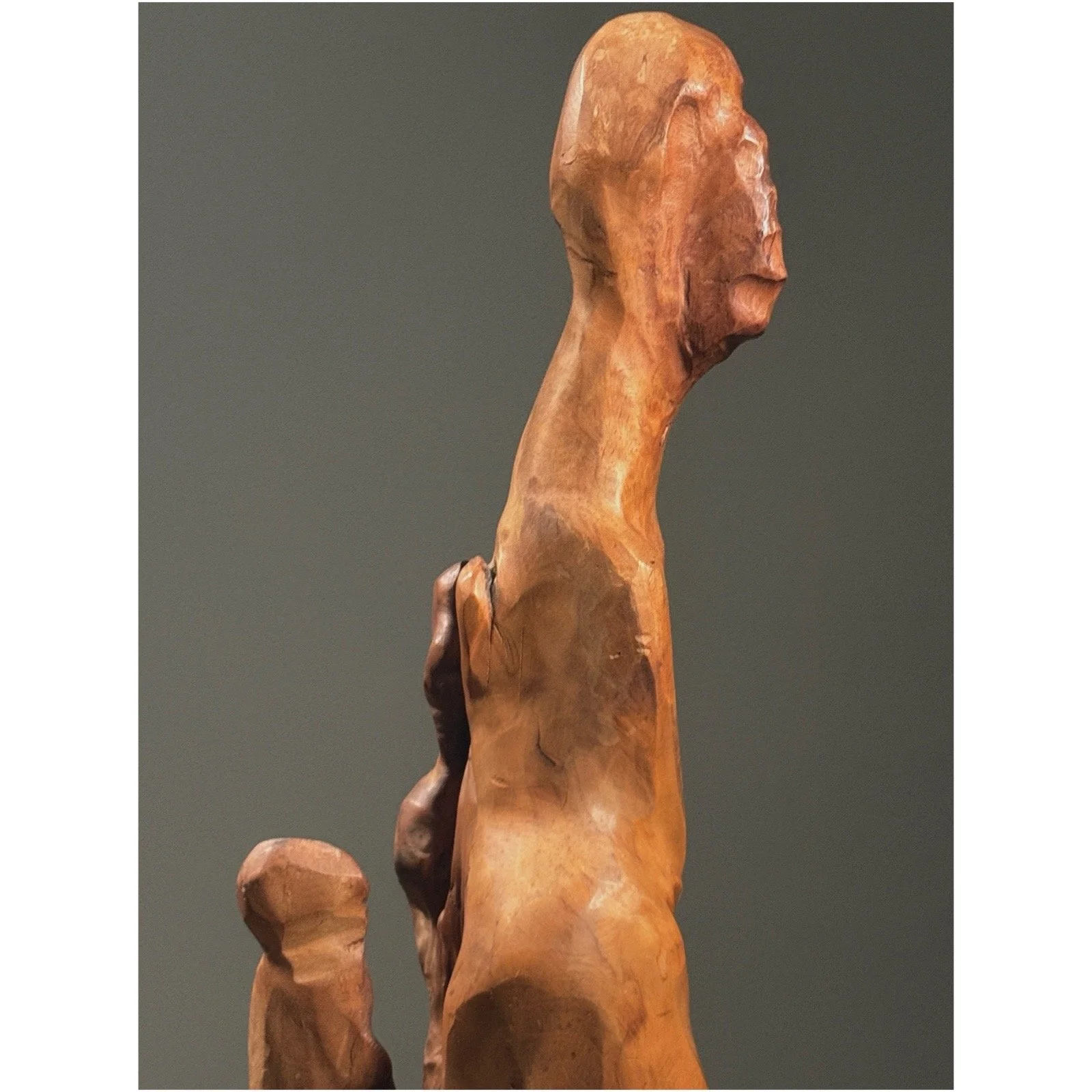 Close-up detail of abstract figurative forms emerging from the natural contours of the root