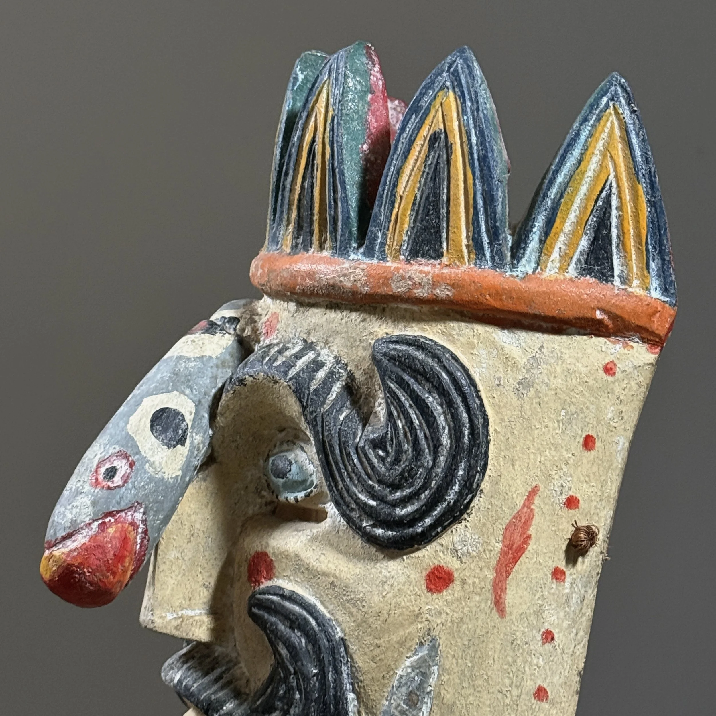 Detail of the crown and forehead area.