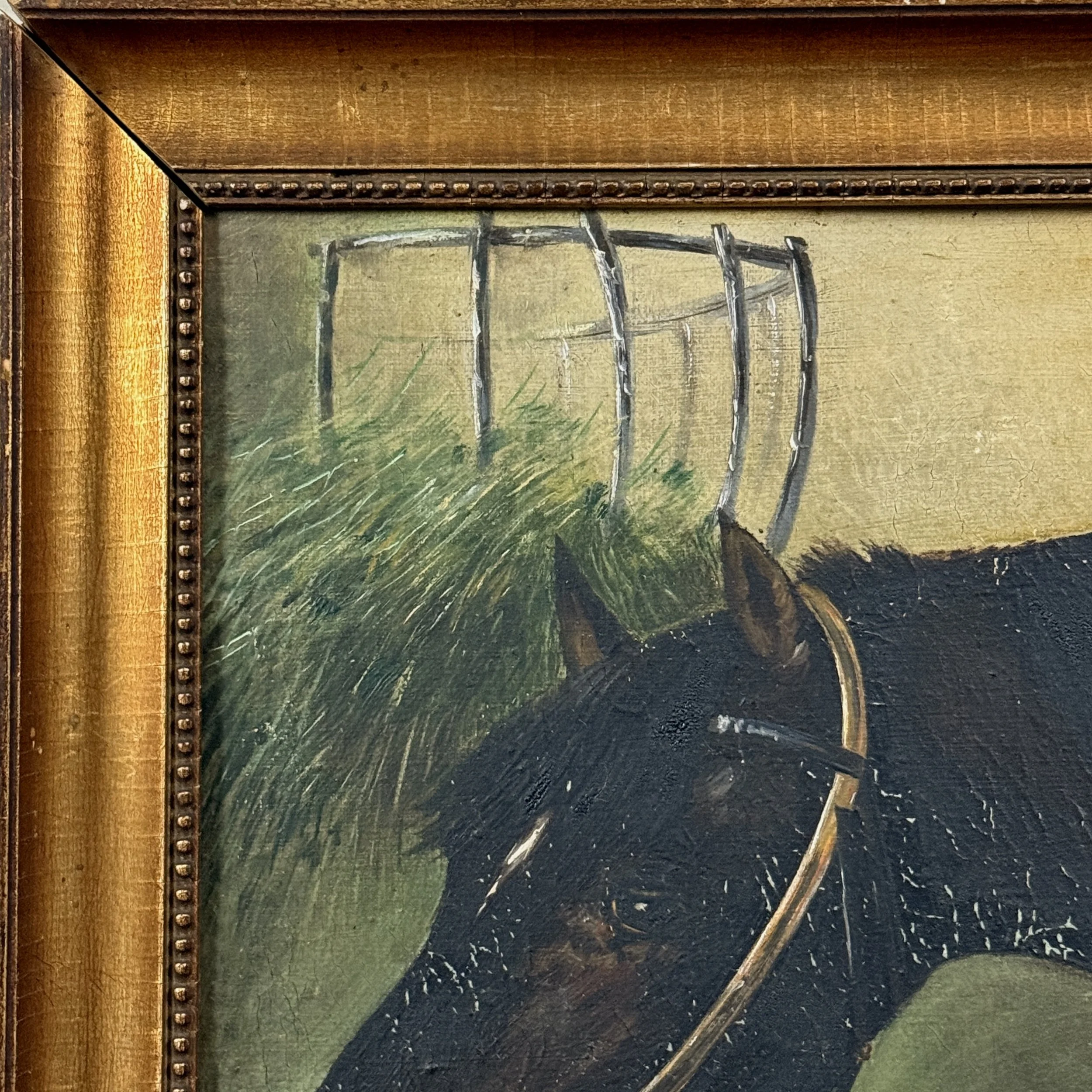 Oil on board antique realist portrait of a black horse, signed Nitsche lower right