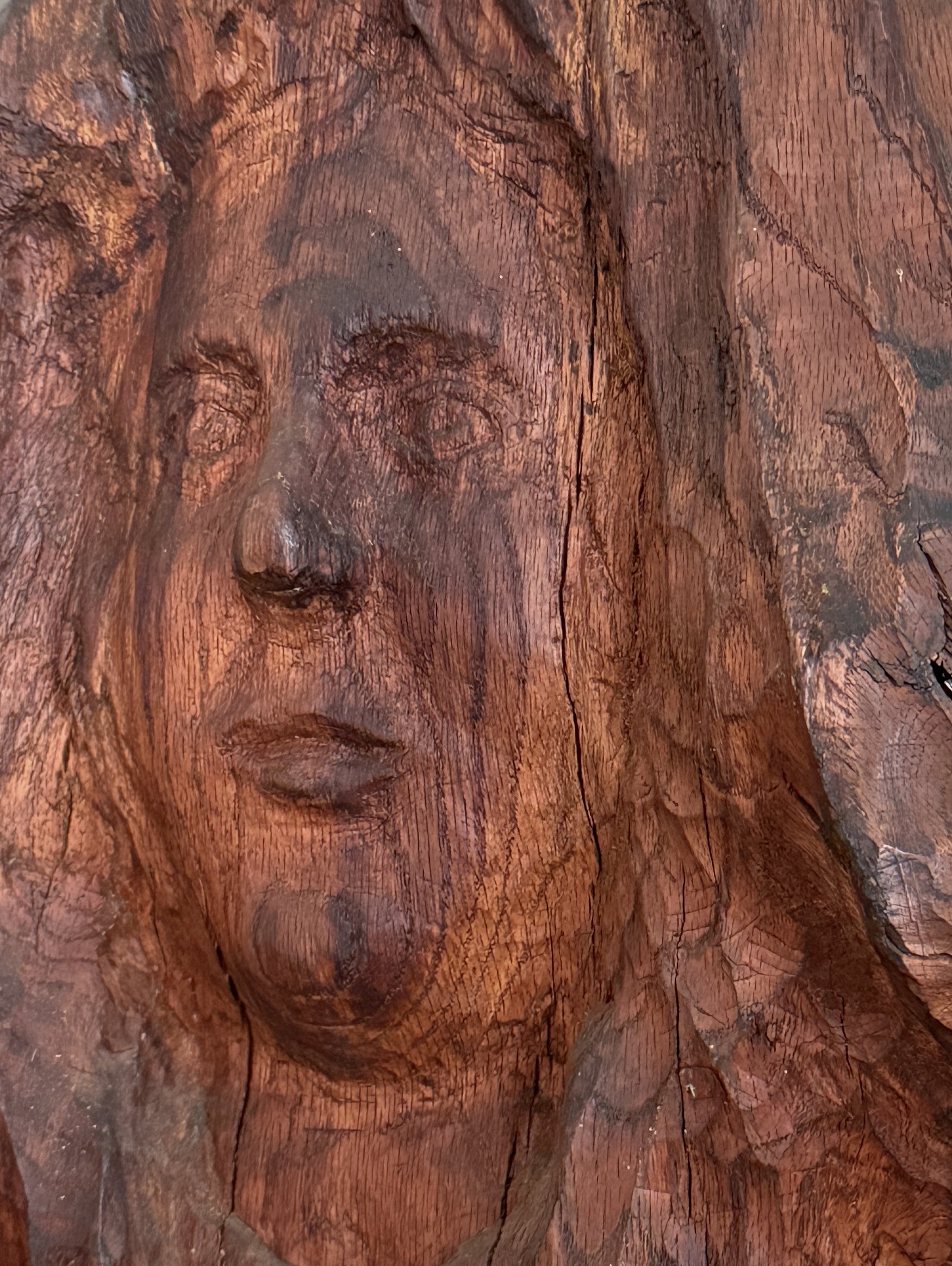 Portrait detail, hand carved wood stump, facial features