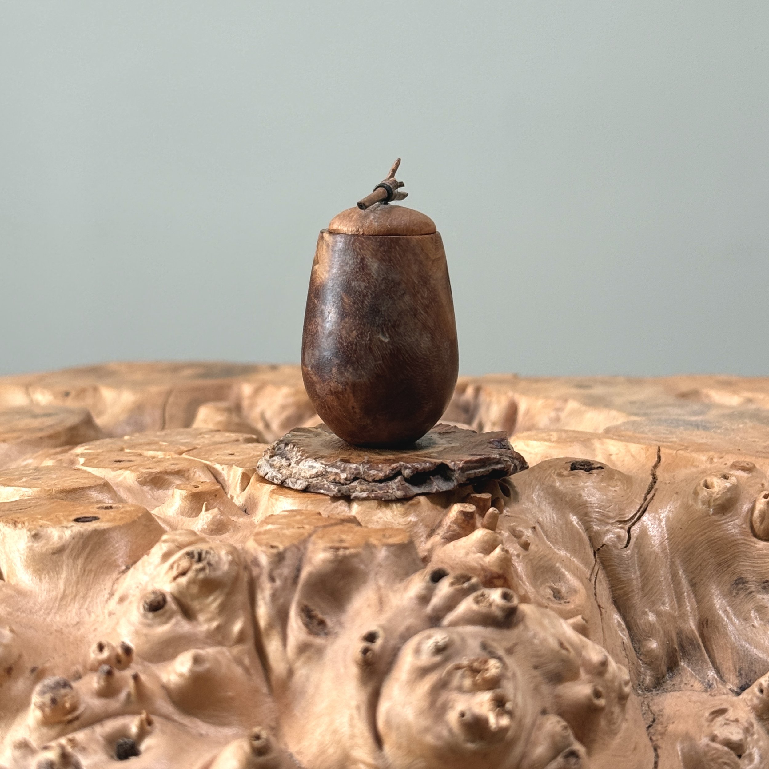 Vintage hand turned walnut miniature lidded vessel on live edge stand. White background.