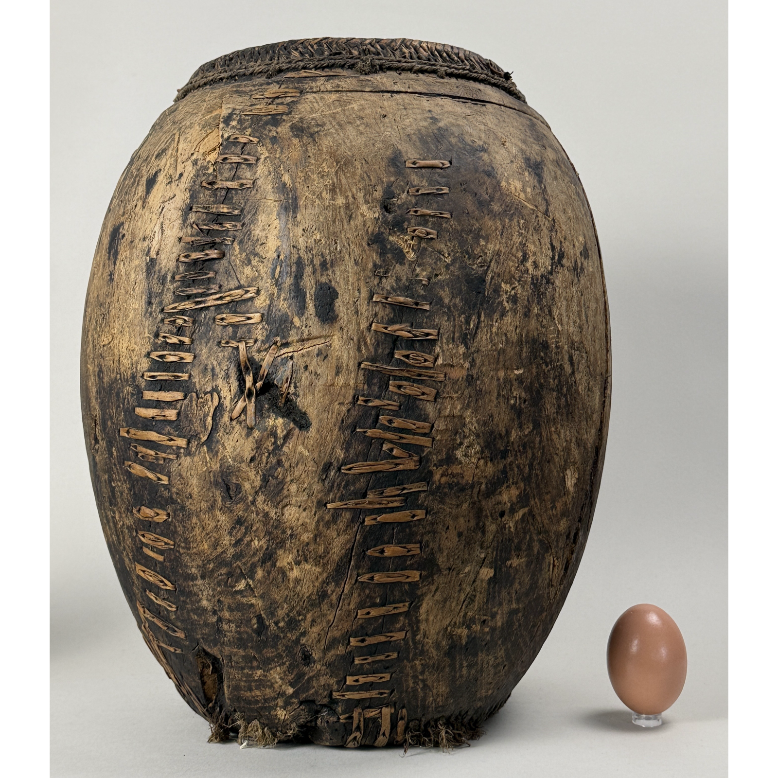 With egg for size reference.