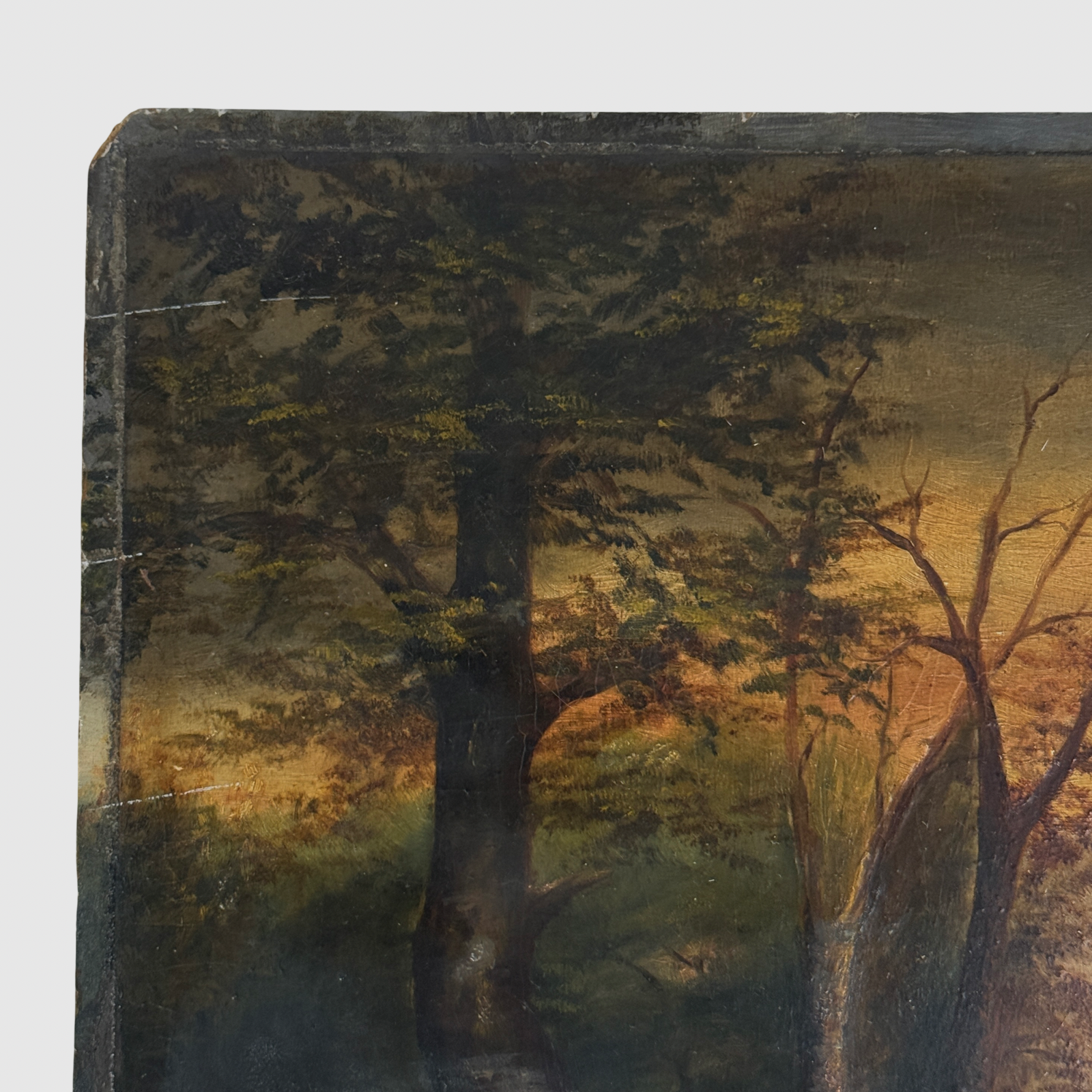 Cracks in board detail, Tonalist river landscape, condition