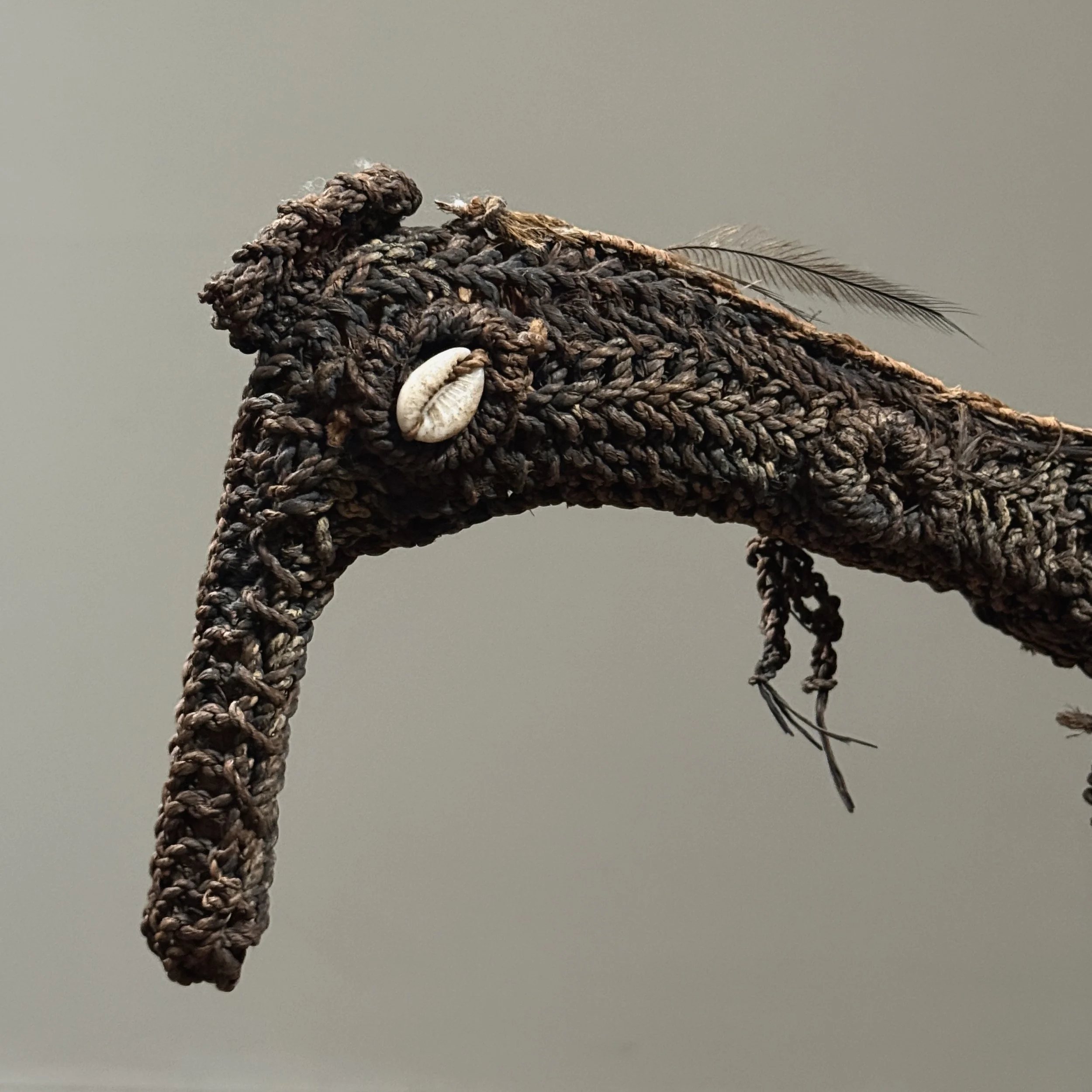 Close-up of bird head. Cowrie shell eyes. Woven fiber structure.