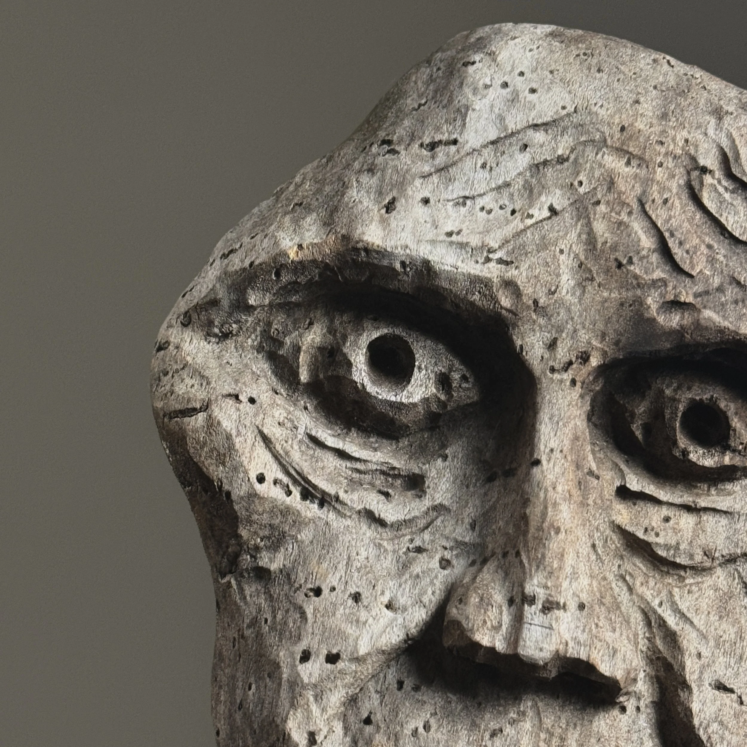 Wormhole detail, weathered wood surface, folk art carving