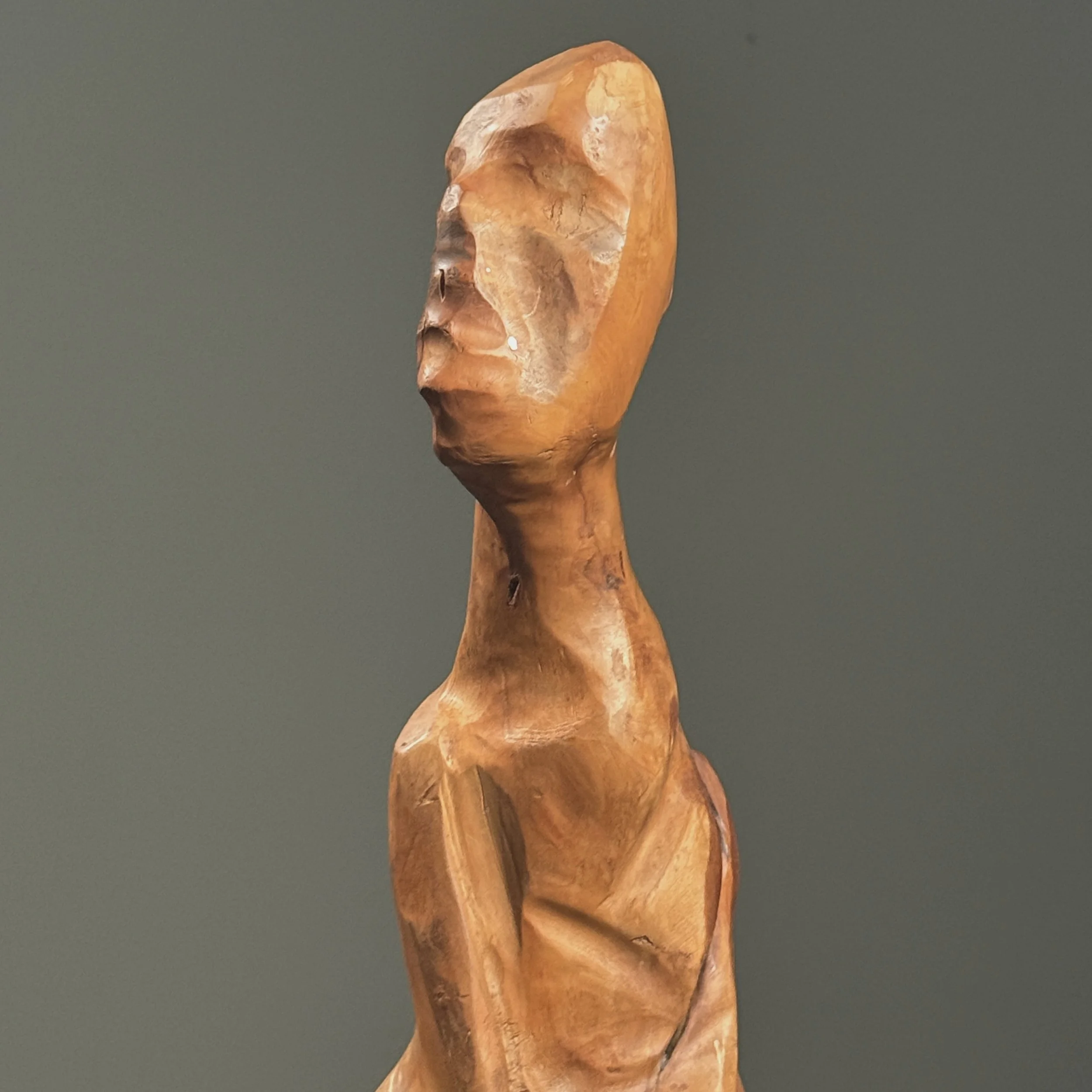 Close-up detail of abstract figurative forms emerging from the natural contours of the root