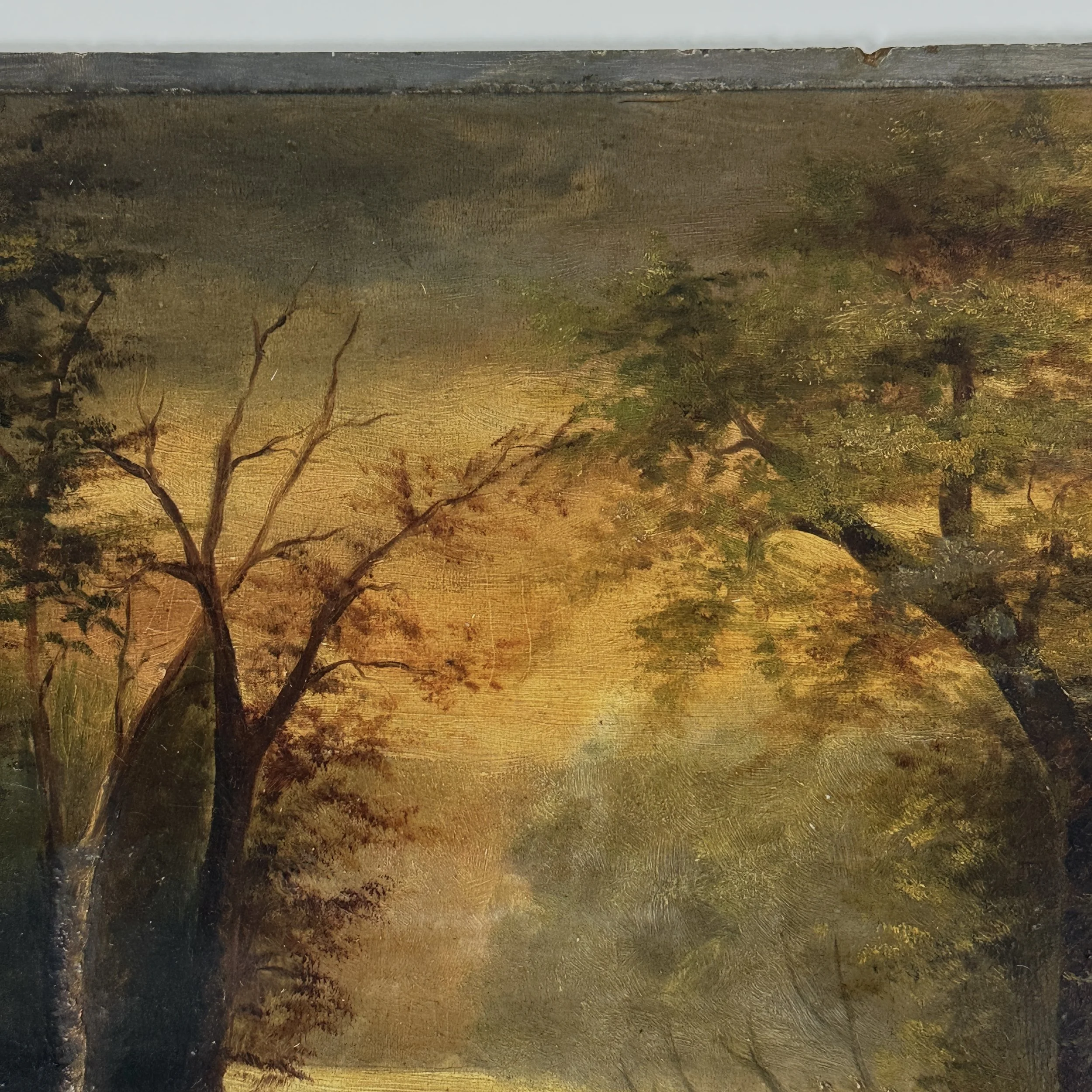 River and trees detail, Tonalist sunset study, atmospheric light