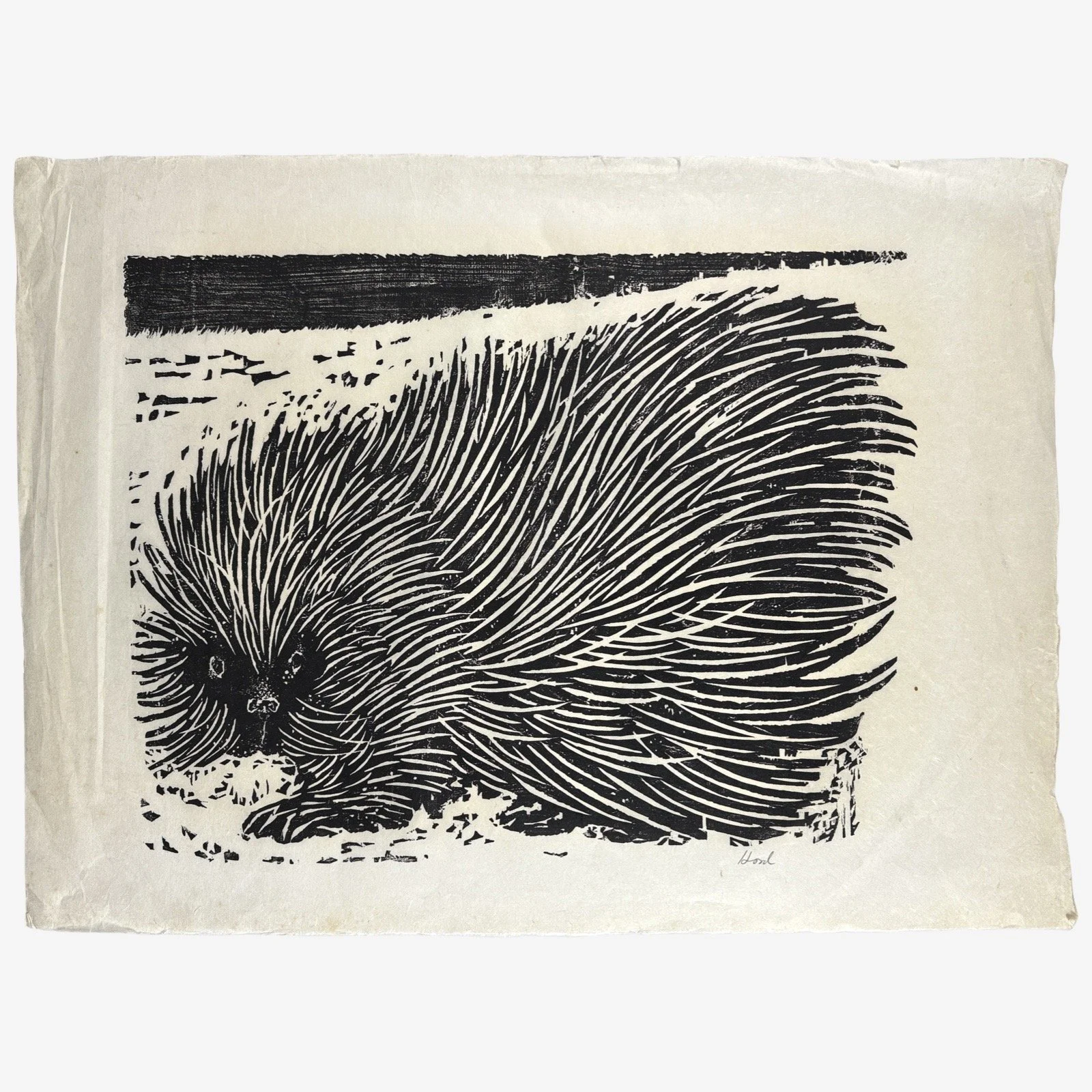 Overall view of expressionist animal woodcut by Richard Hood