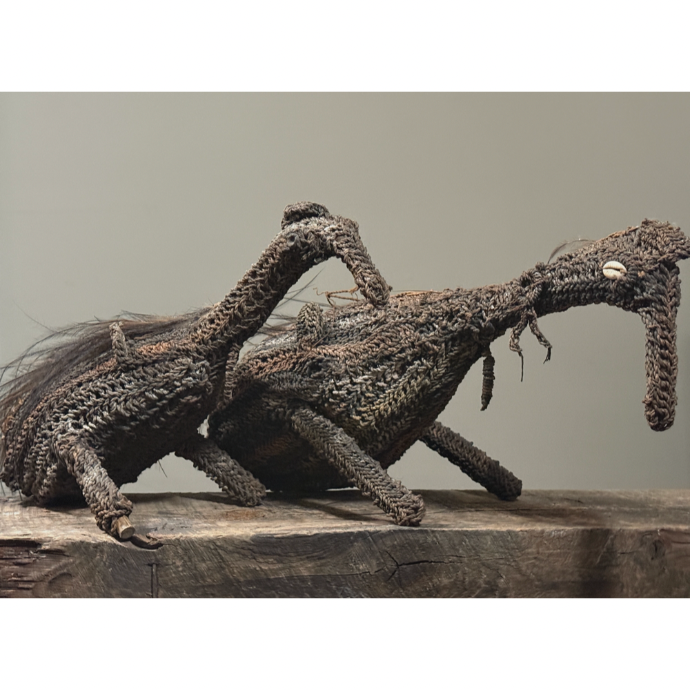 Pair of Iatmul Tribe Dream Vehicles. Woven bush fiber birds. Sepik River, Papua New Guinea. Cowrie shell eyes.