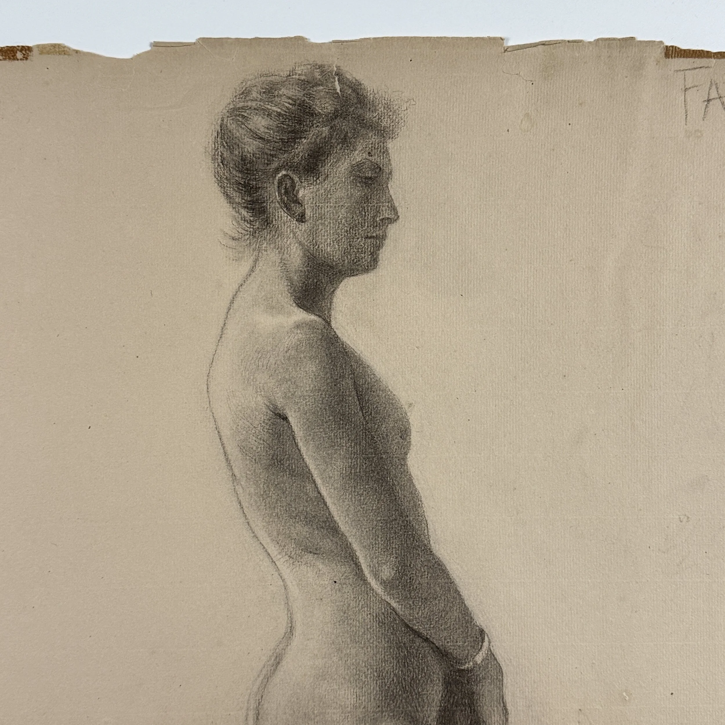Charcoal drawing on toned paper by L.E. Faber