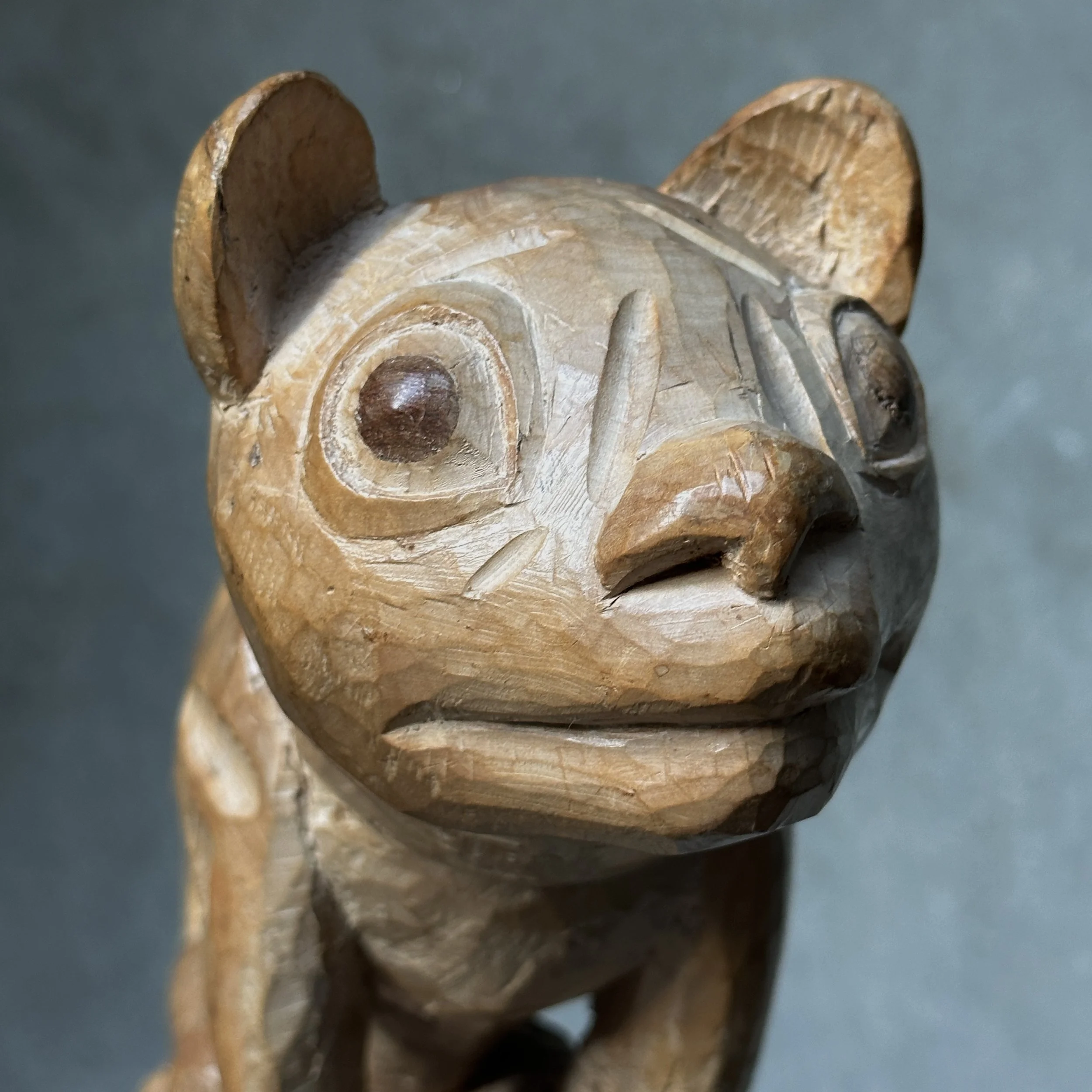 Close-up of the cat being chased upward along the toucan's form.