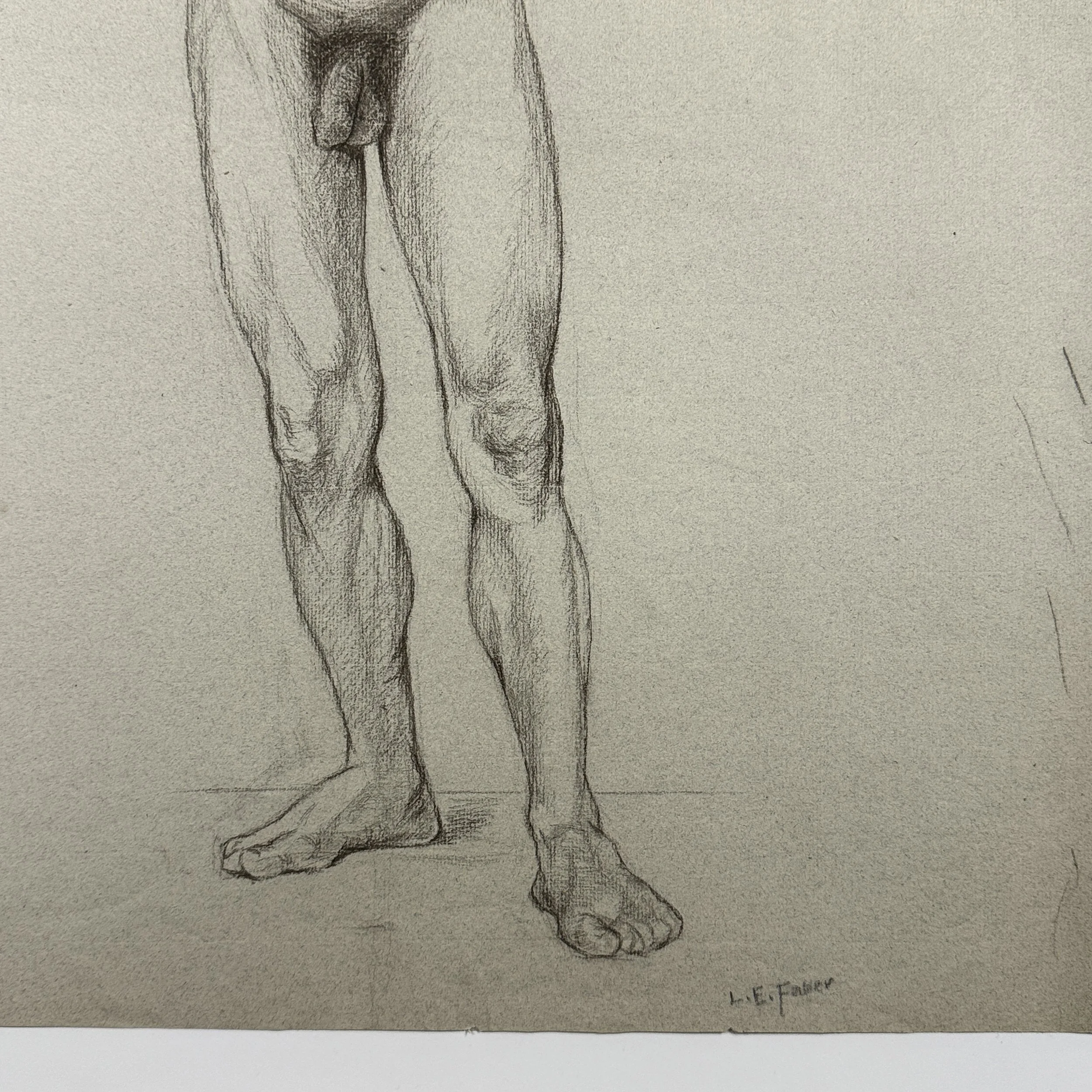 Detail of musculature and anatomy in Faber figure study