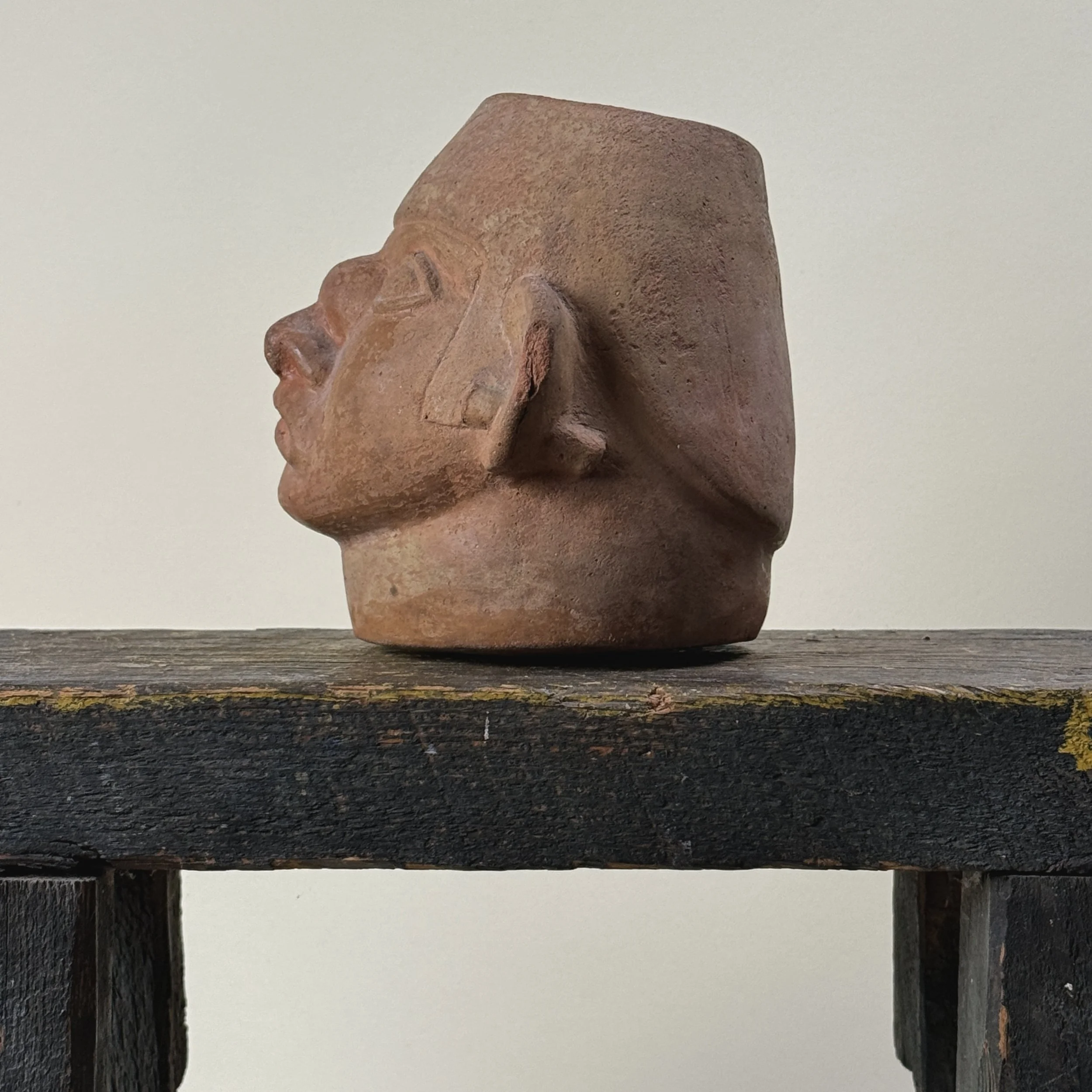 Side  view of Pre-Columbian Moche portrait head vessel with facial paralysis and tumor