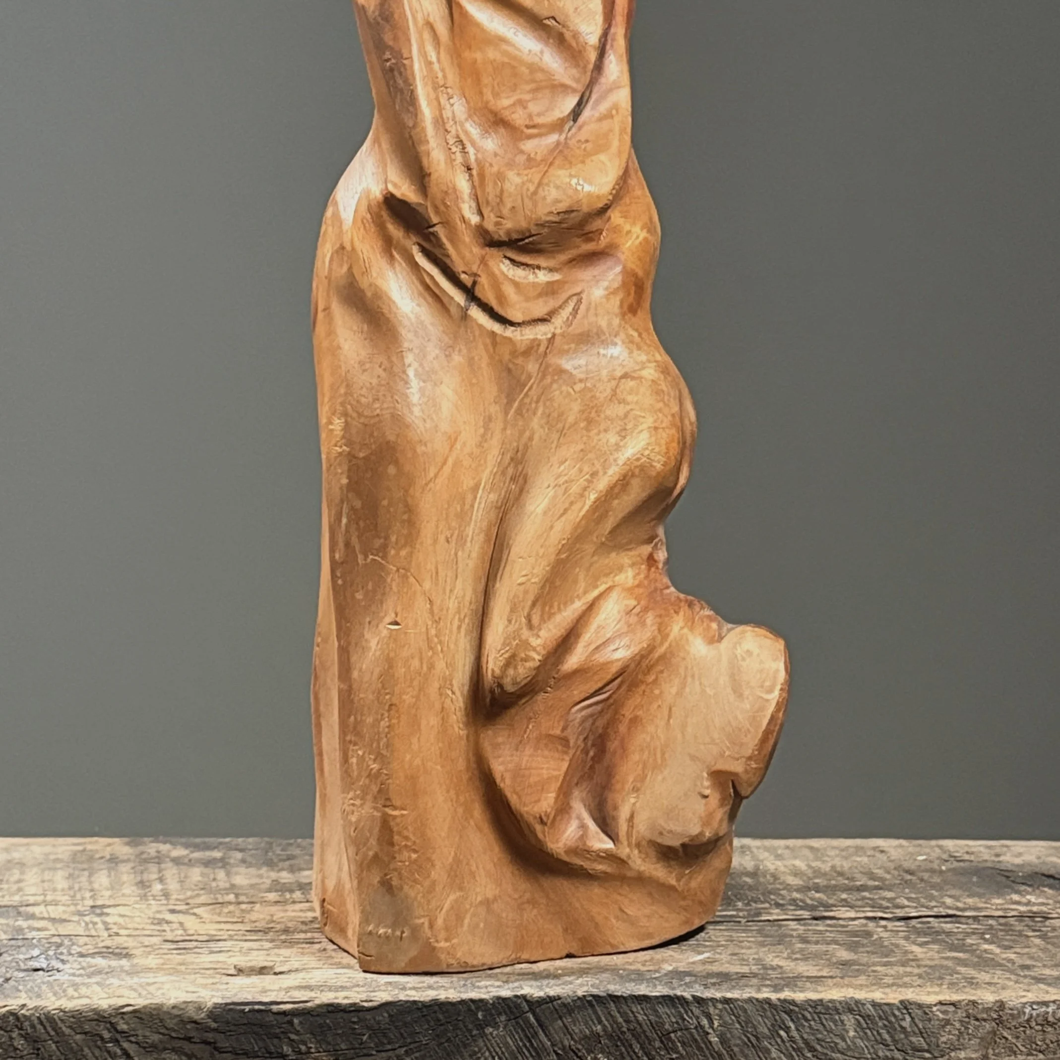 Close-up detail of abstract figurative forms emerging from the natural contours of the root