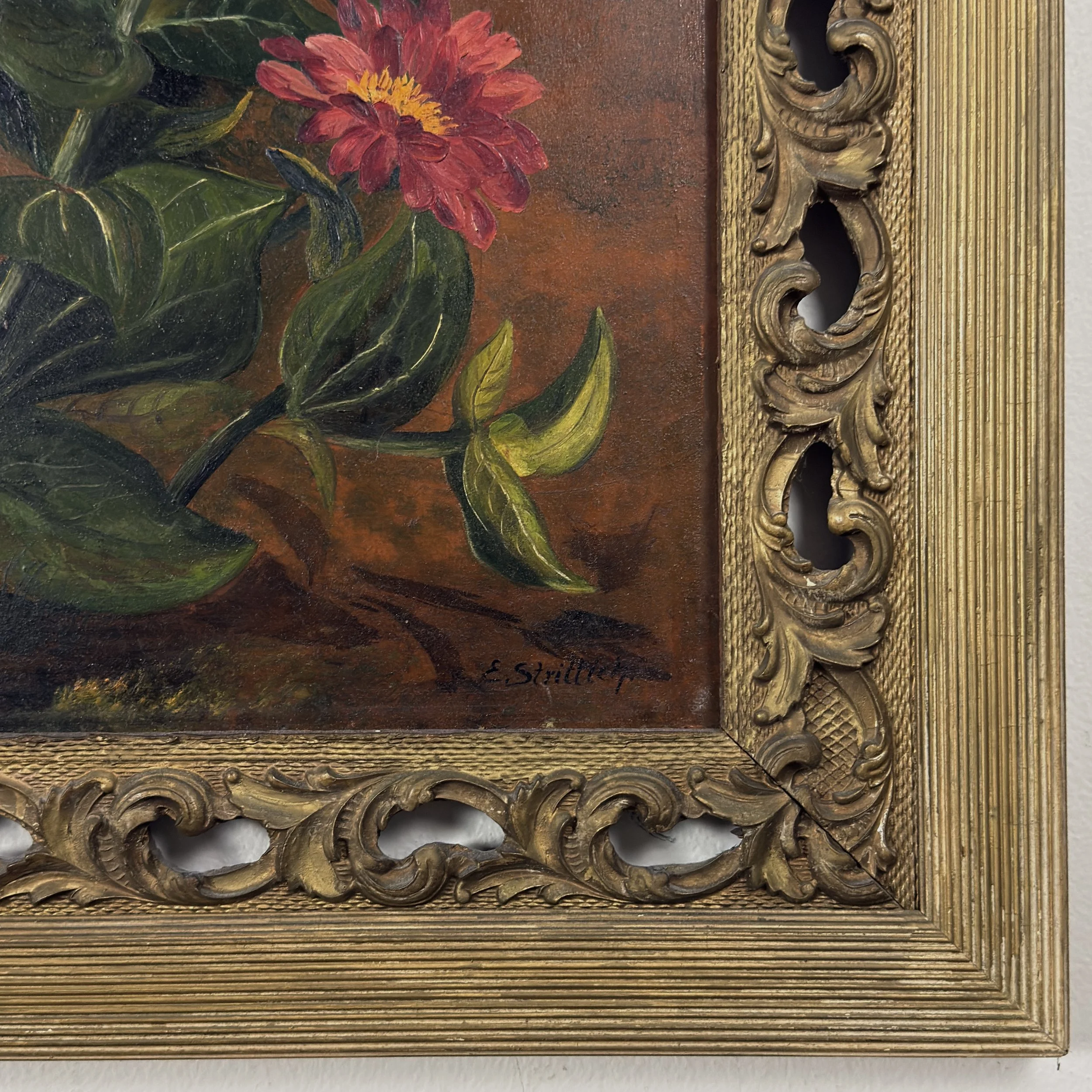 Scroll cut-out frame detail, coral zinnia still life