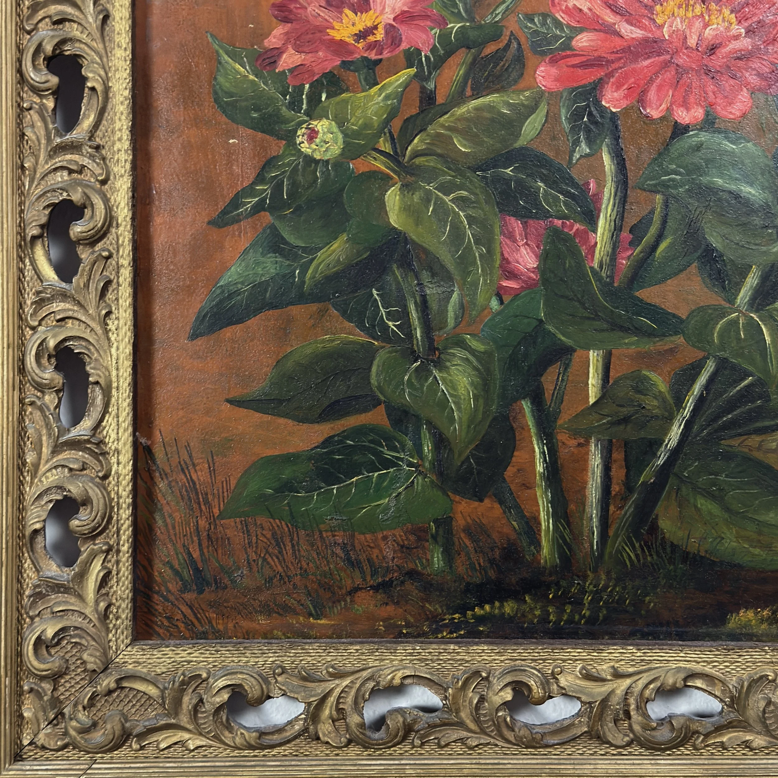 Scroll cut-out frame detail, coral zinnia still life