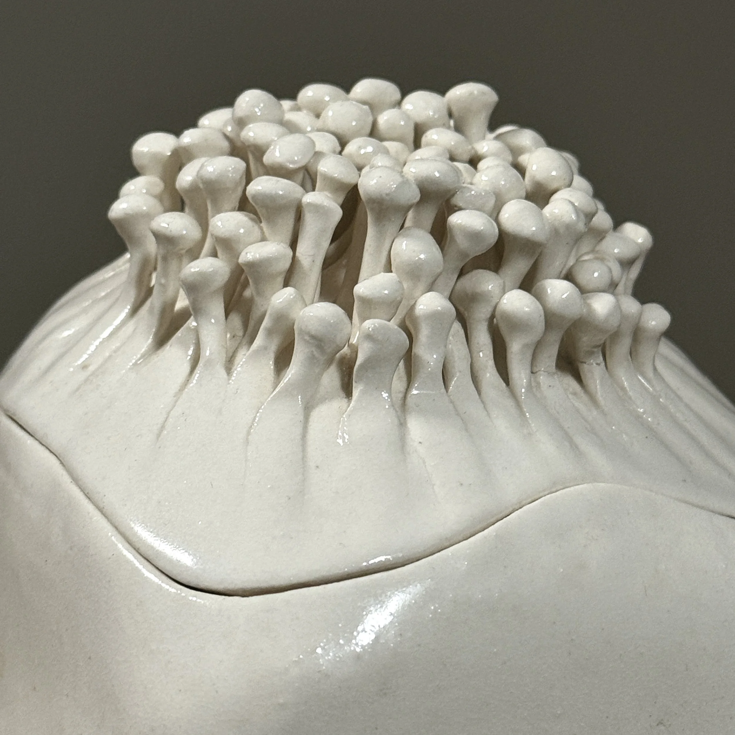 Close up of mushroom amoeba ceramic lid detail